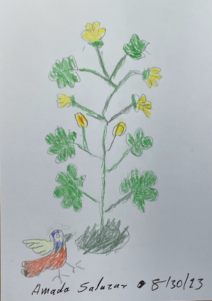 Screenshot 2025-08-15 at 4.02.20 PM.png