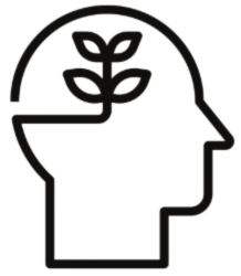 Online Education