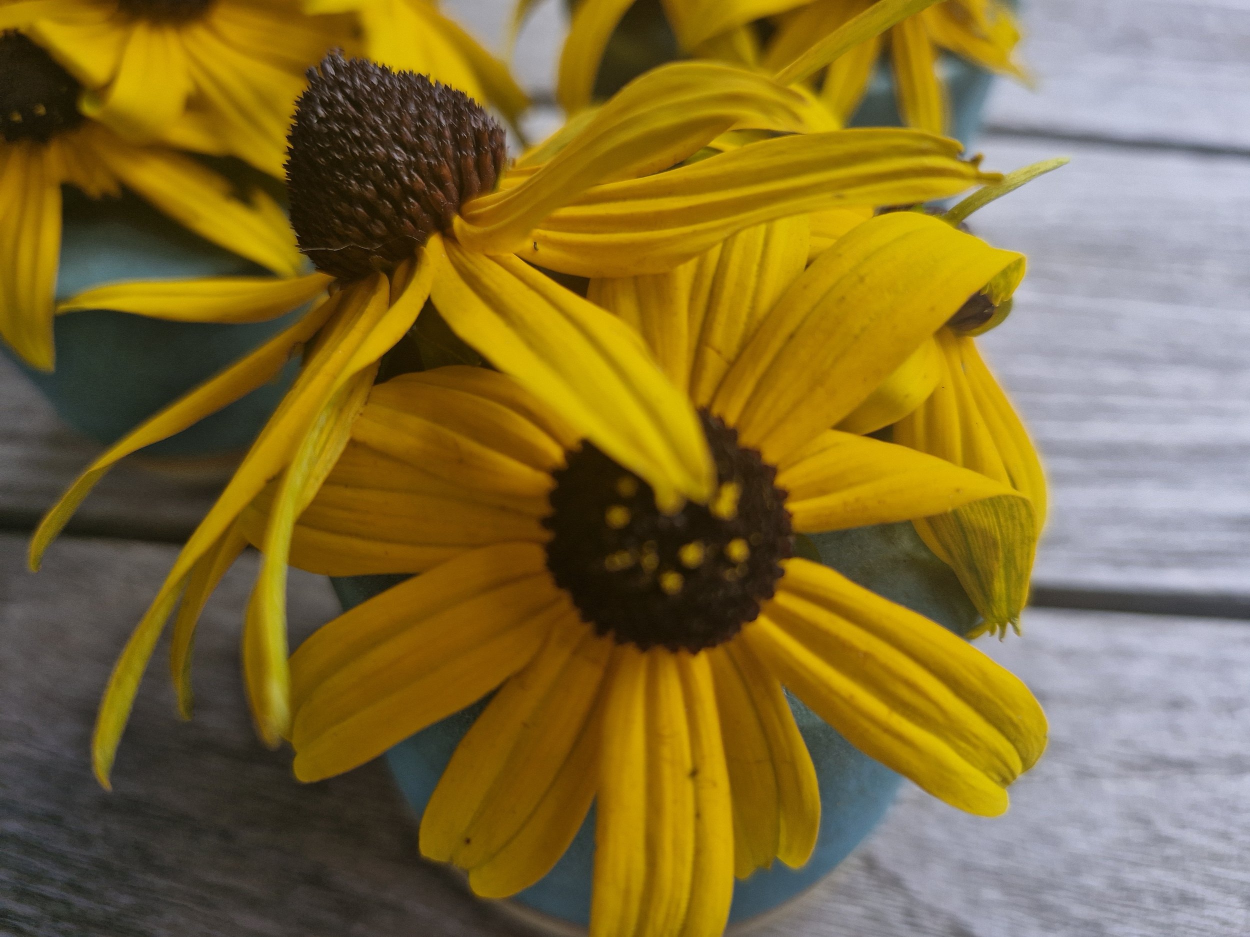 aanbod: "RESET & RISE" voor vr.ondernemers 40+