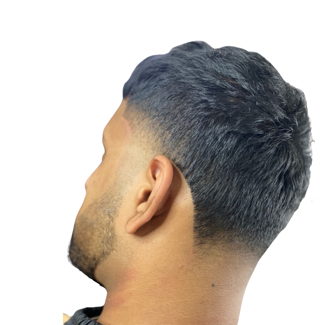 Untitled design (19).png