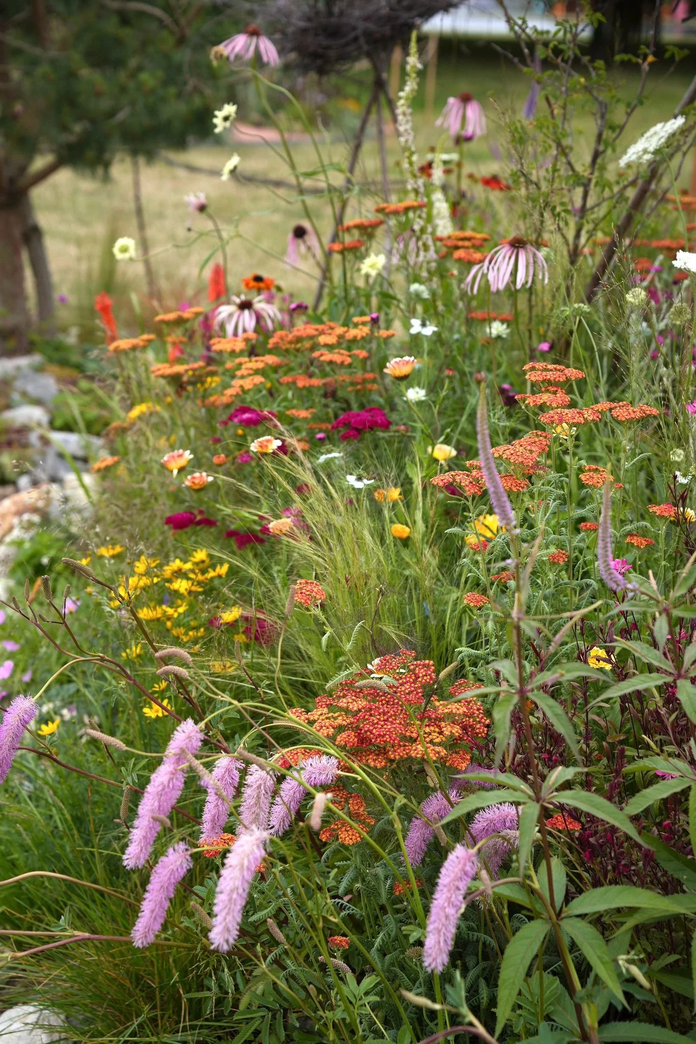 c202e9eb-8ff7-48b7-9082-f65672876228 - Copy.jpg