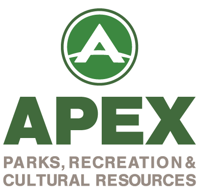Apex Logo