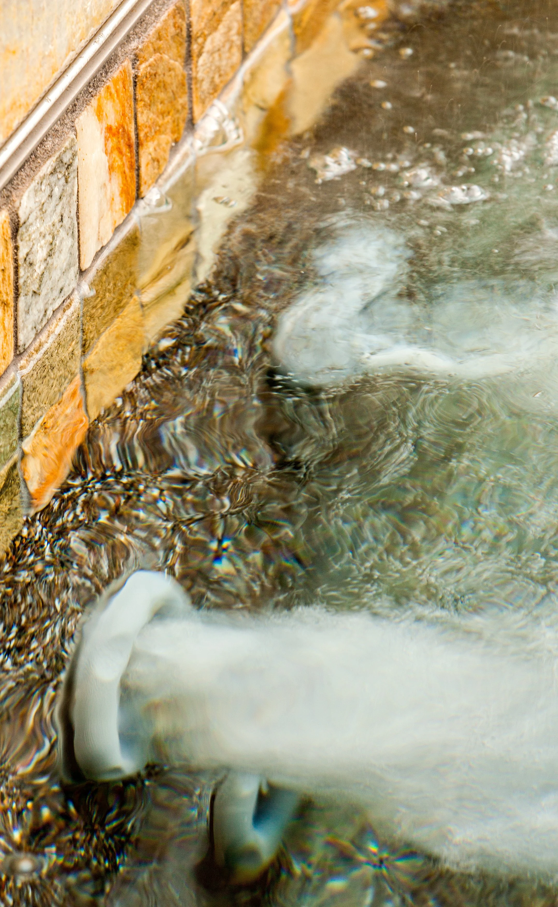 swimming pool safety