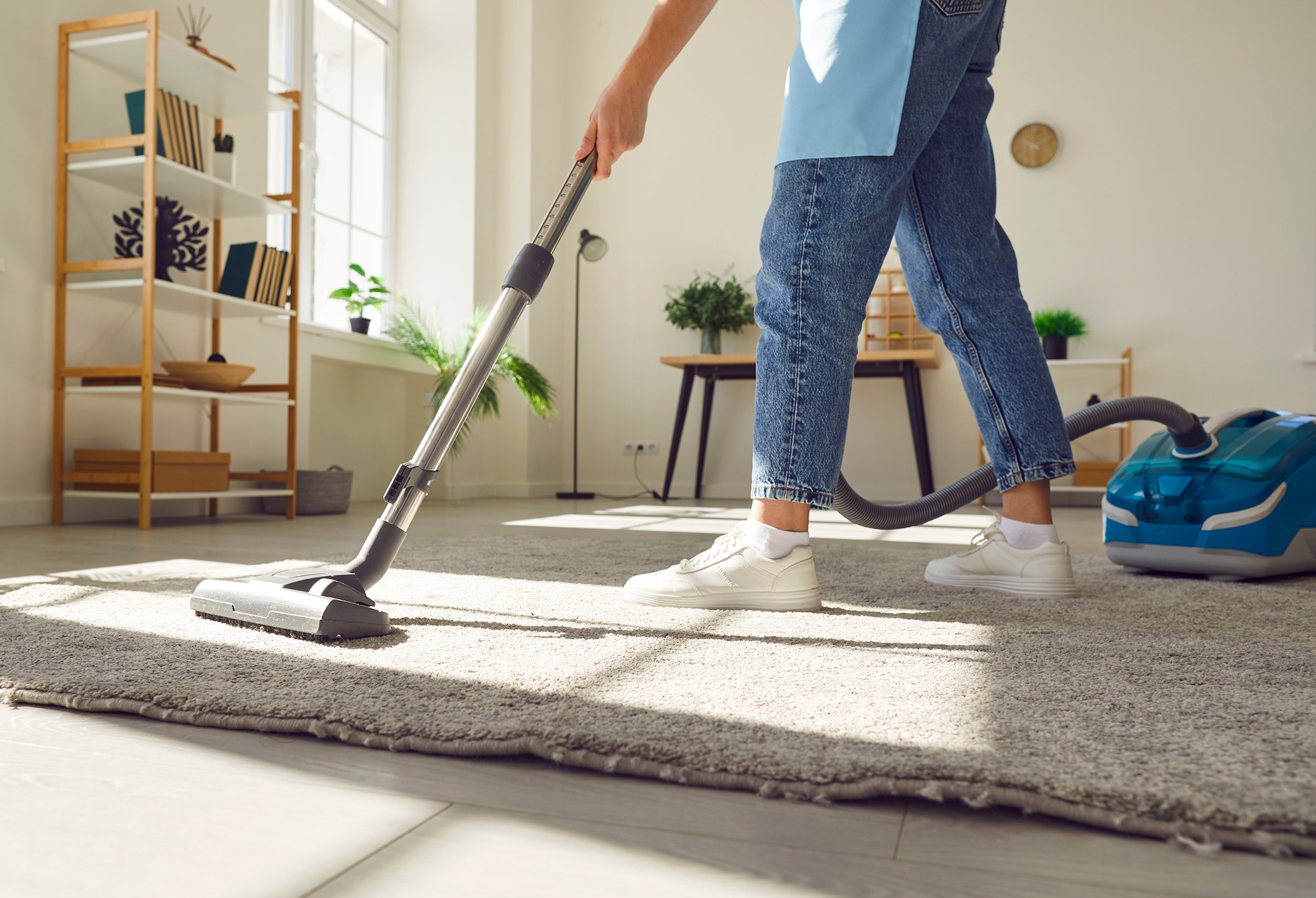 Person vacuuming a rug in a well-lit living room with wooden shelves and indoor plants.