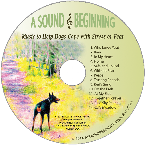 A Sound Beginning CD — A Sound Beginning