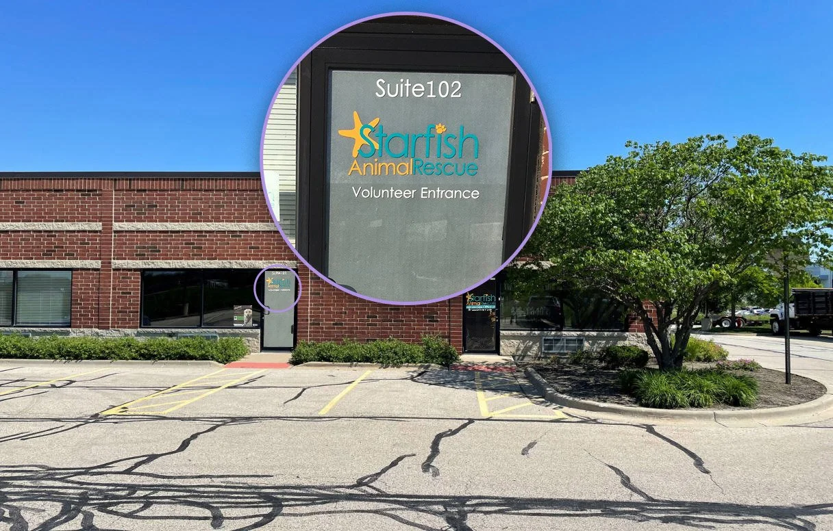 photograph of the Starfish Animal Rescue location where A Sound Beginning holds classes