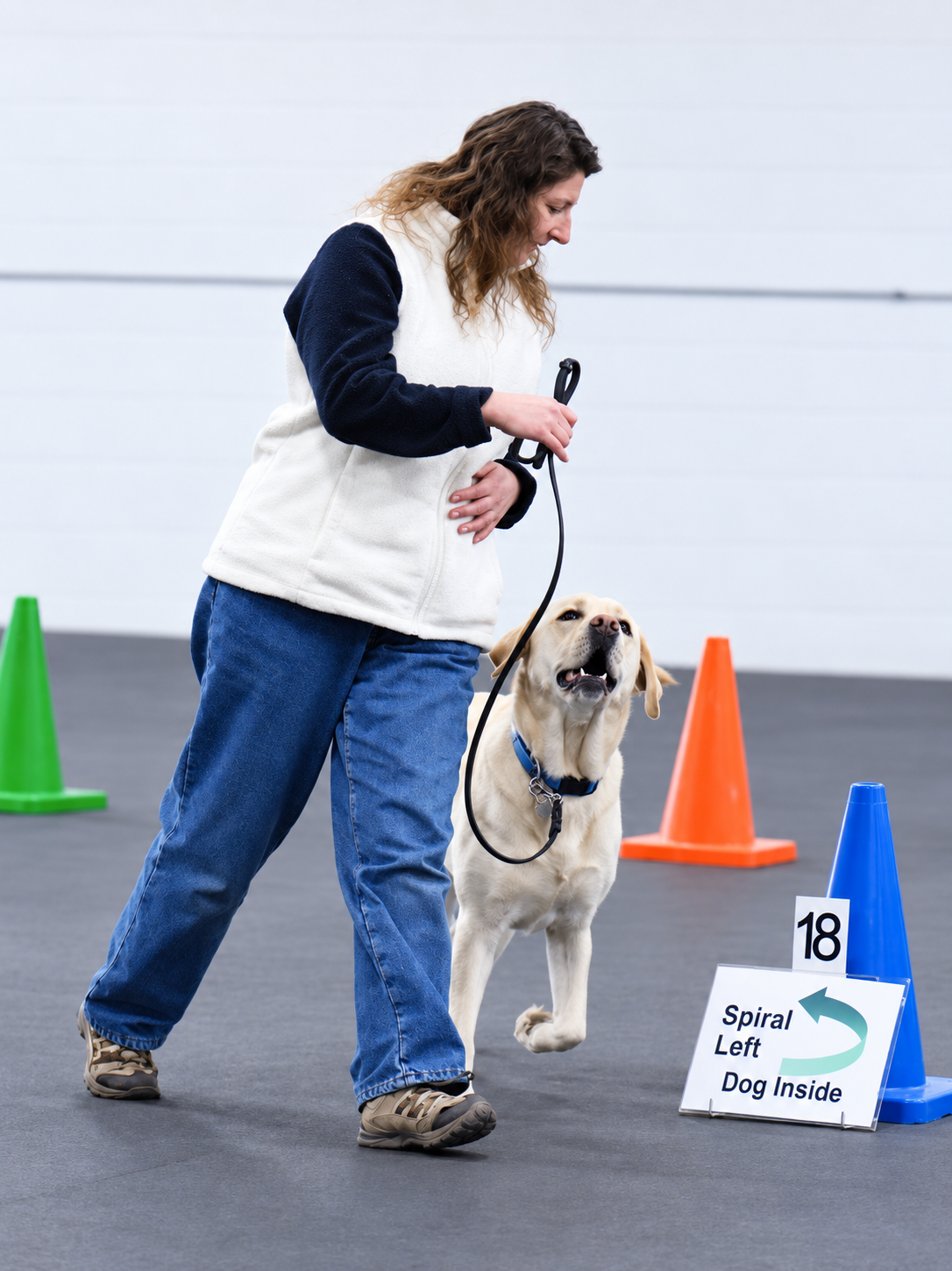 Rally Obedience Class - BEGINNER