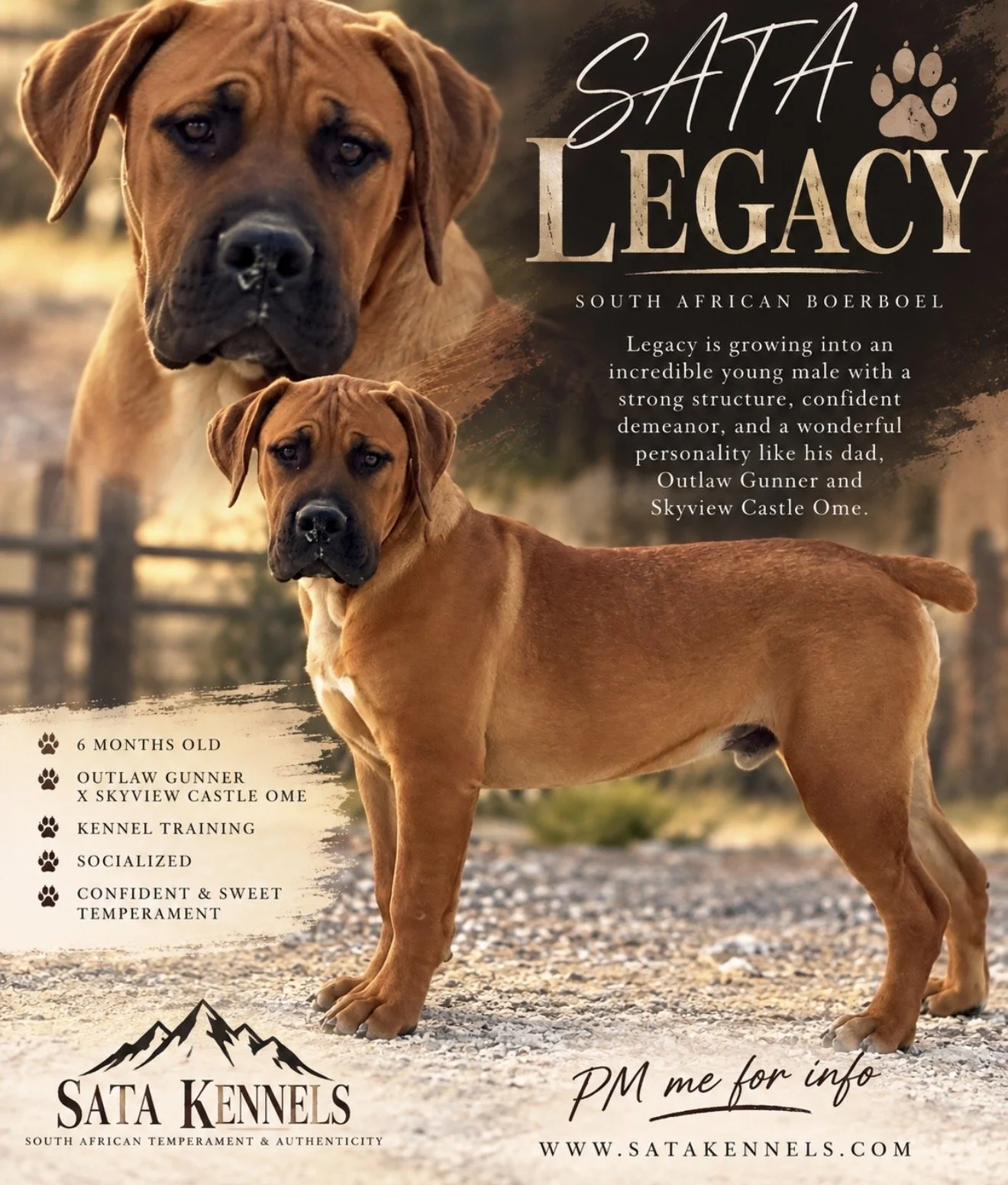 Legacy