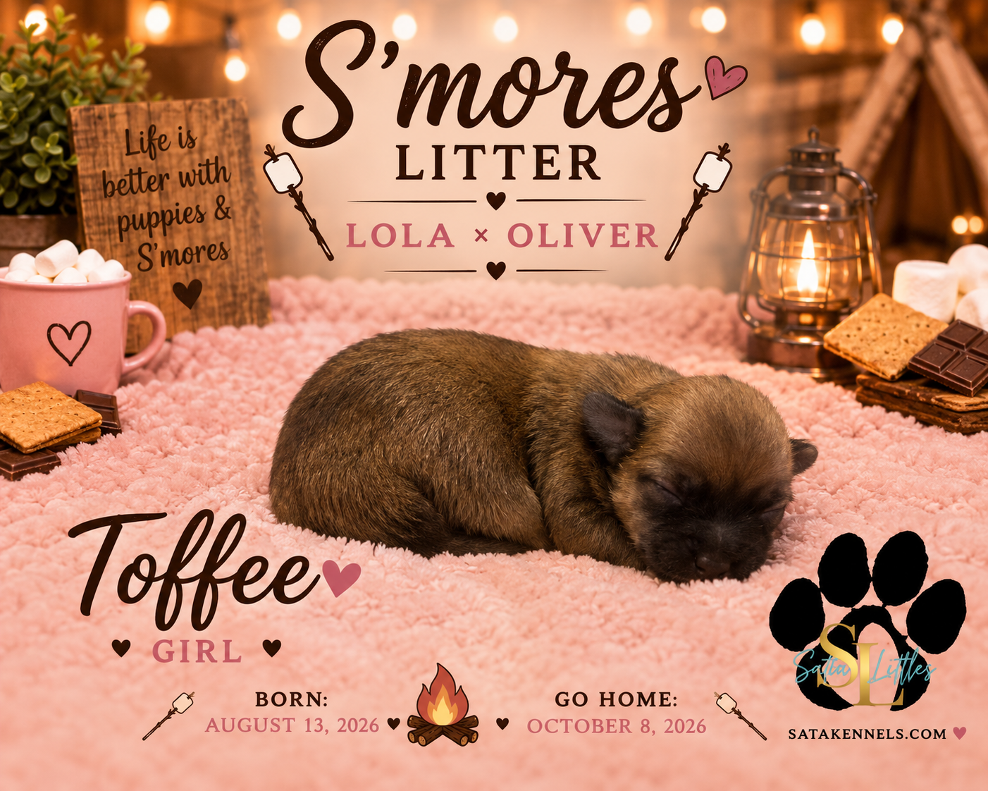 Lola X Oliver (Toffee)