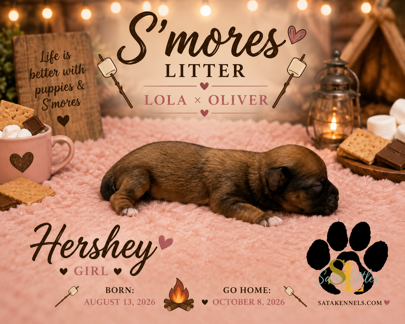 Lola X Oliver (Hershey)