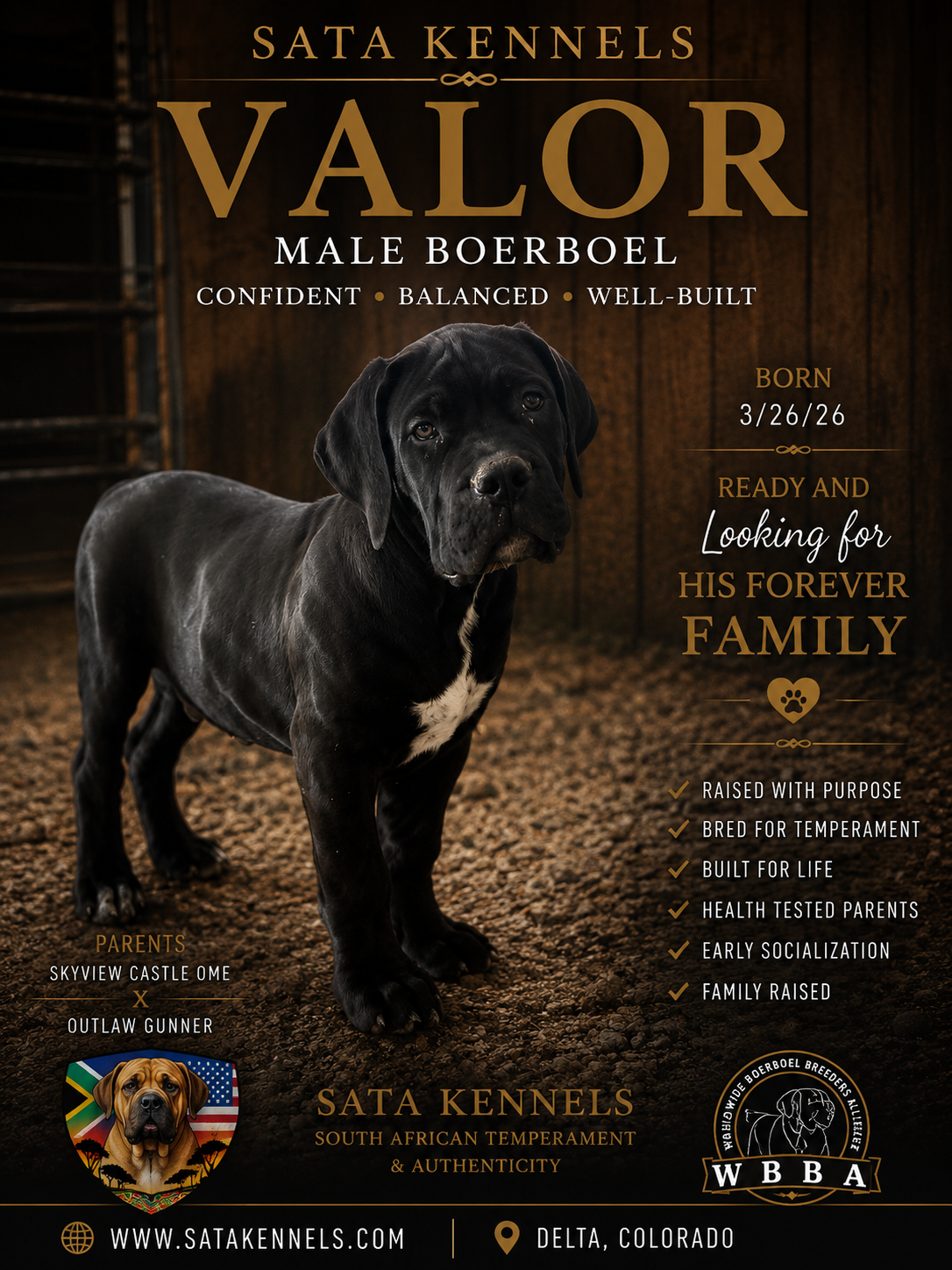 Valor