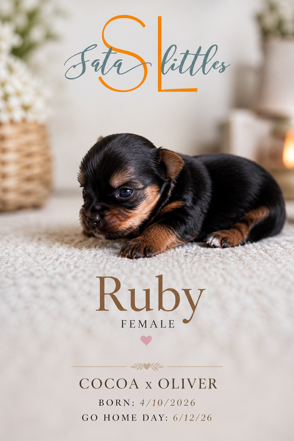 Ruby