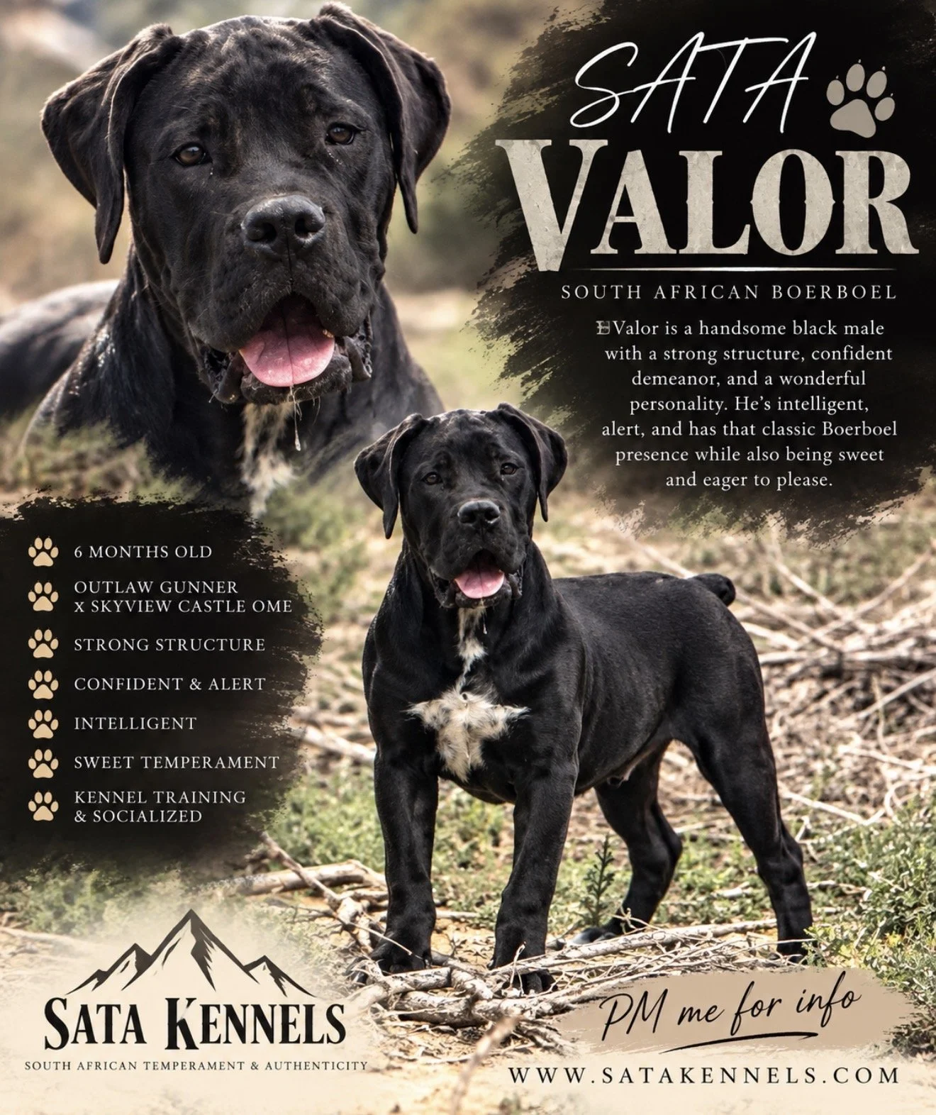Valor