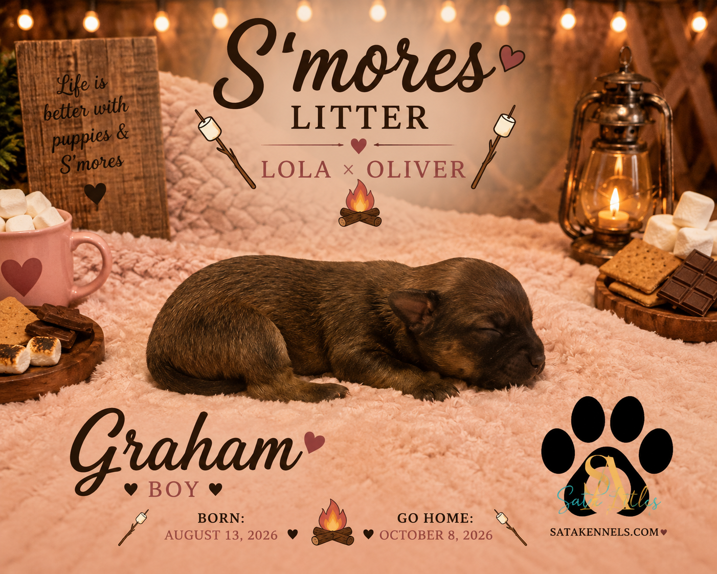Lola X Oliver (Graham)