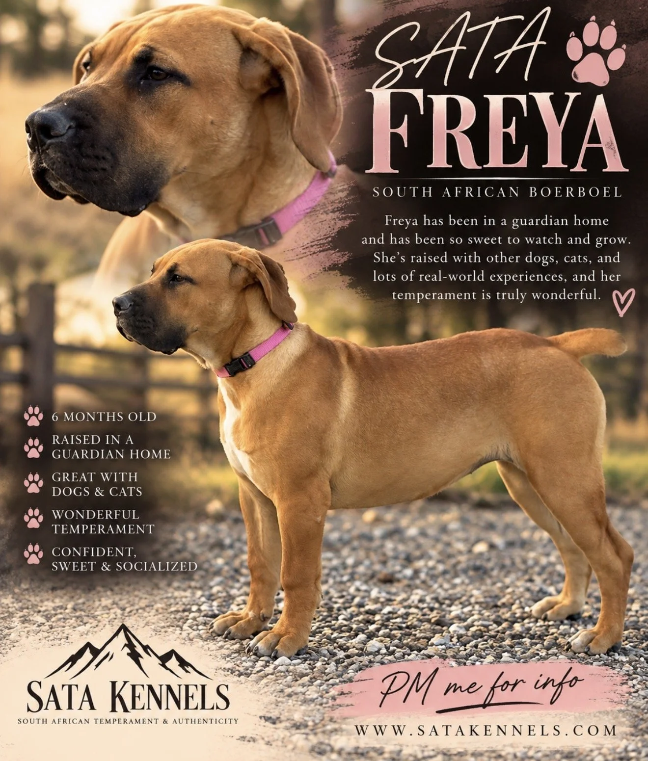 Freya