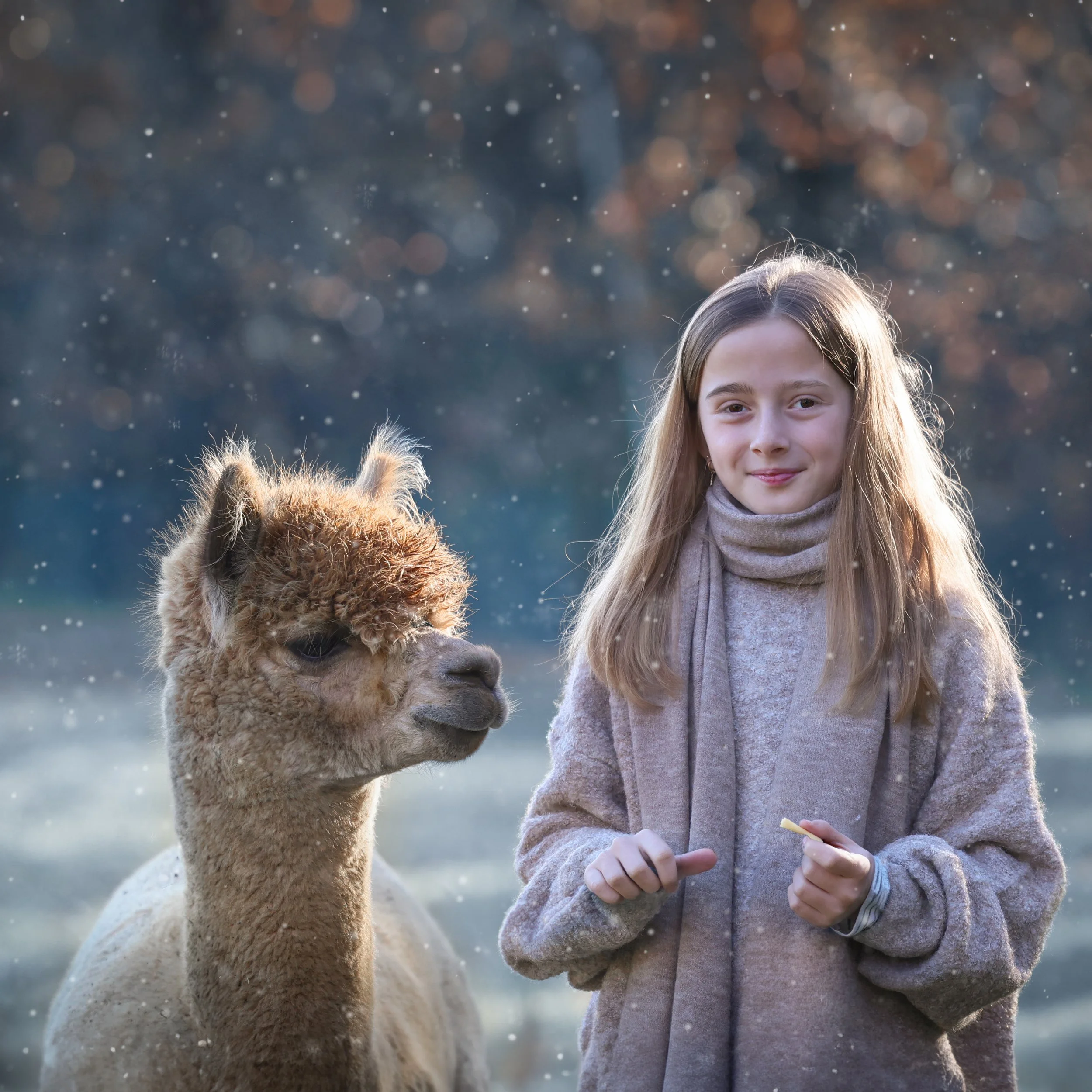 kinderfotografie-met-dieren-alpaca-in-sneeuwlandschap.jpg