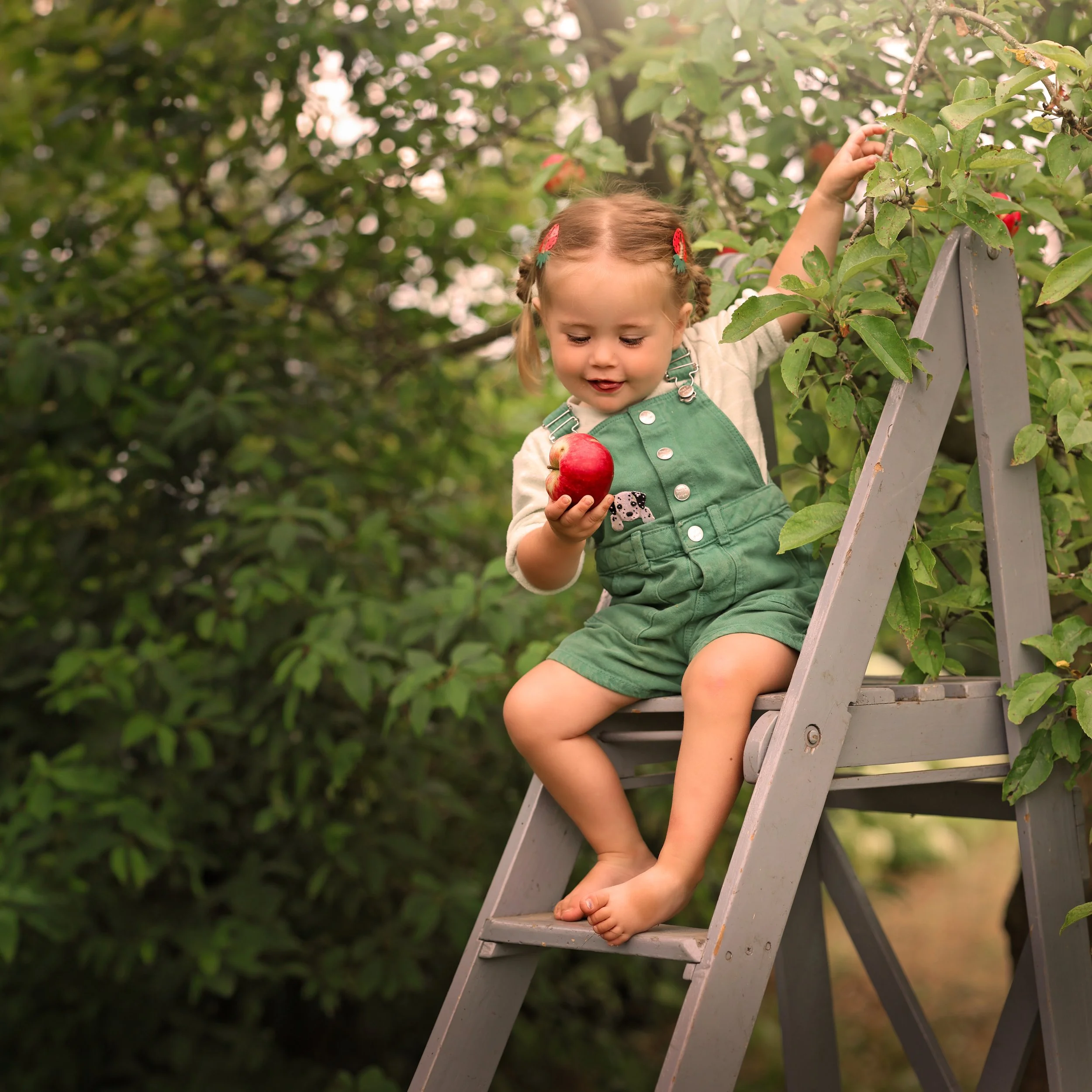kinderfotografie-kind-met-appel-op-ladder.jpg