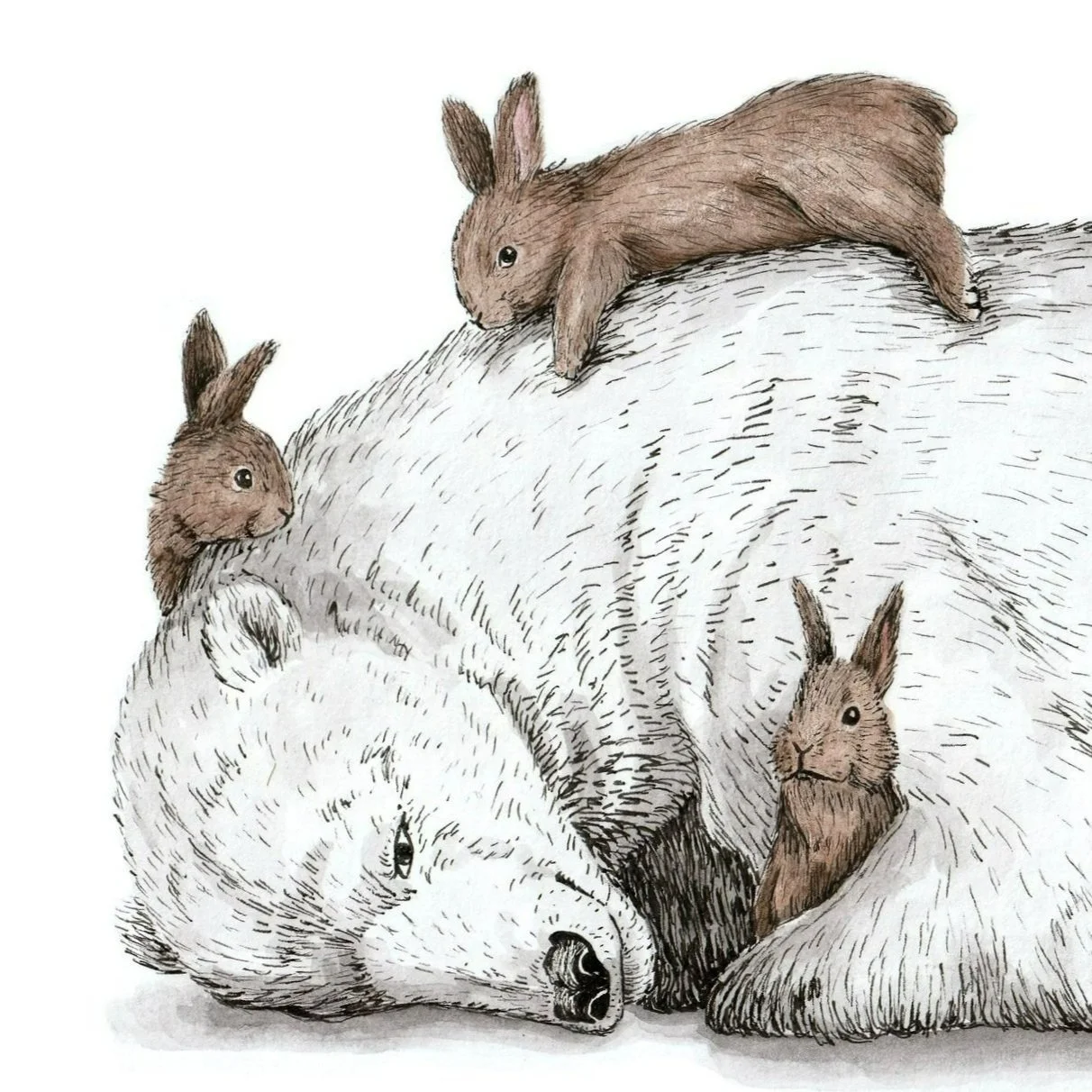 Ijsbeer met nijnen zoom.jpg