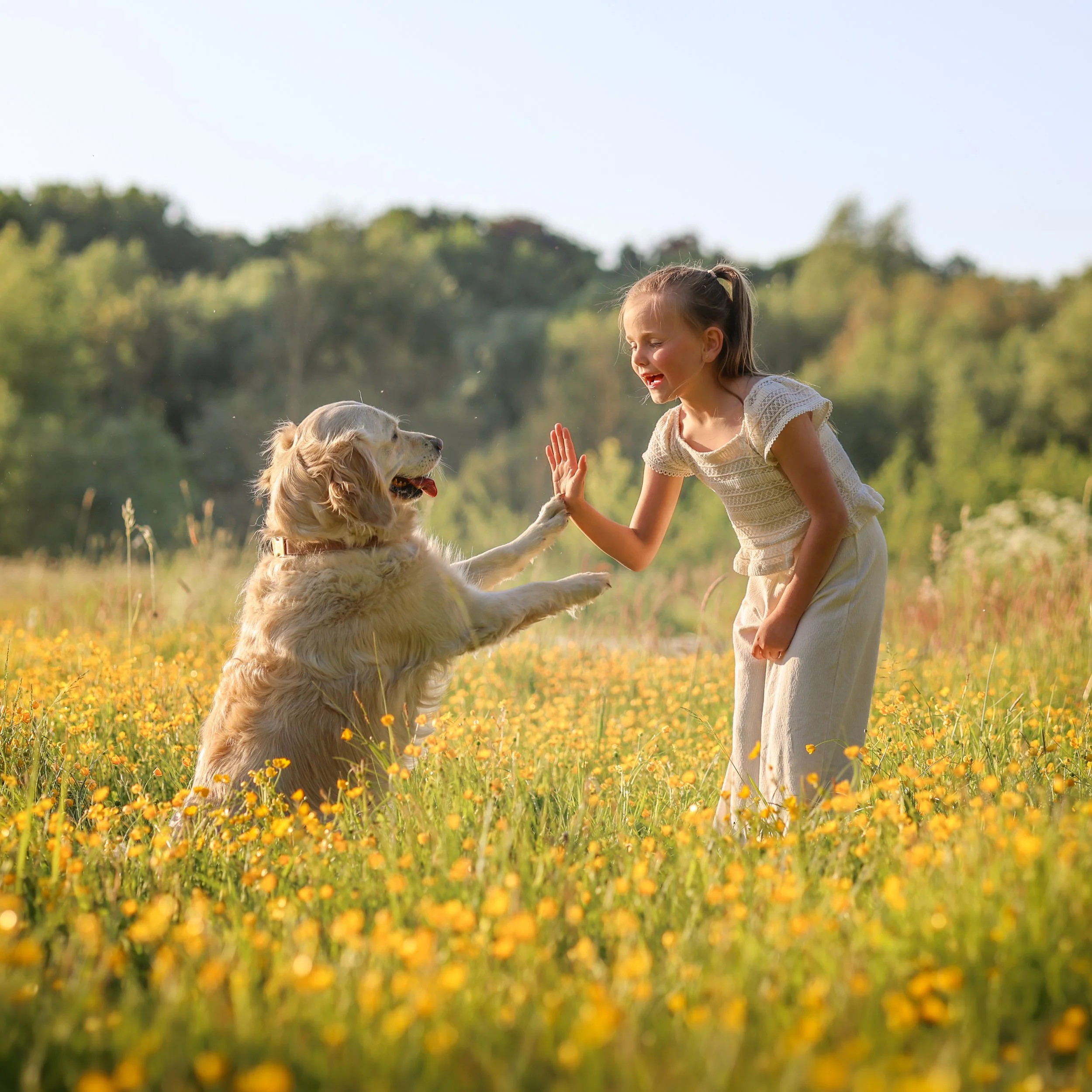 kinderfotografie-highfive-met-hond-in-bloemenveld.jpg