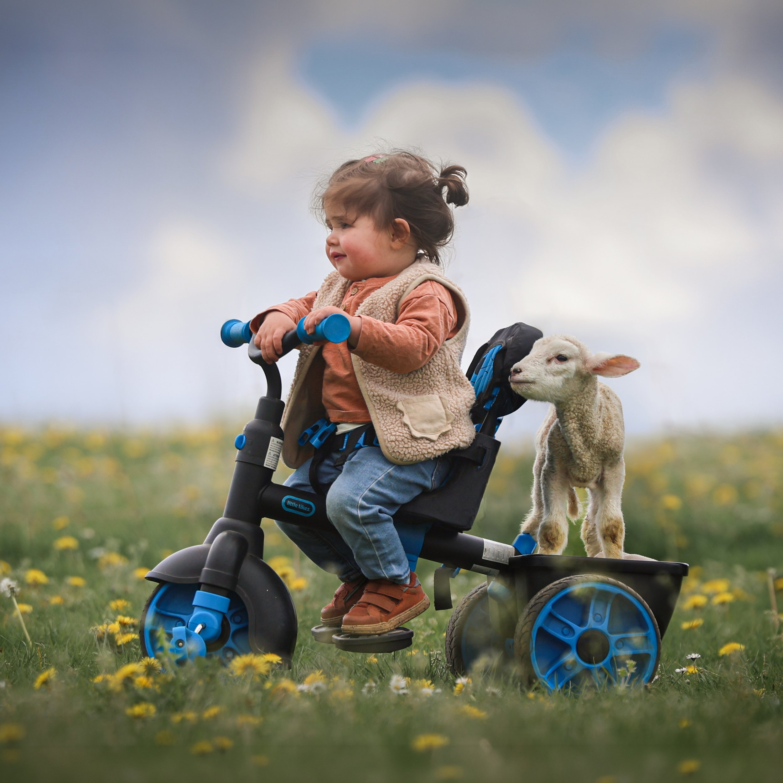 kinderfotografie-kind-met-lammetje-in-driewieler.jpg