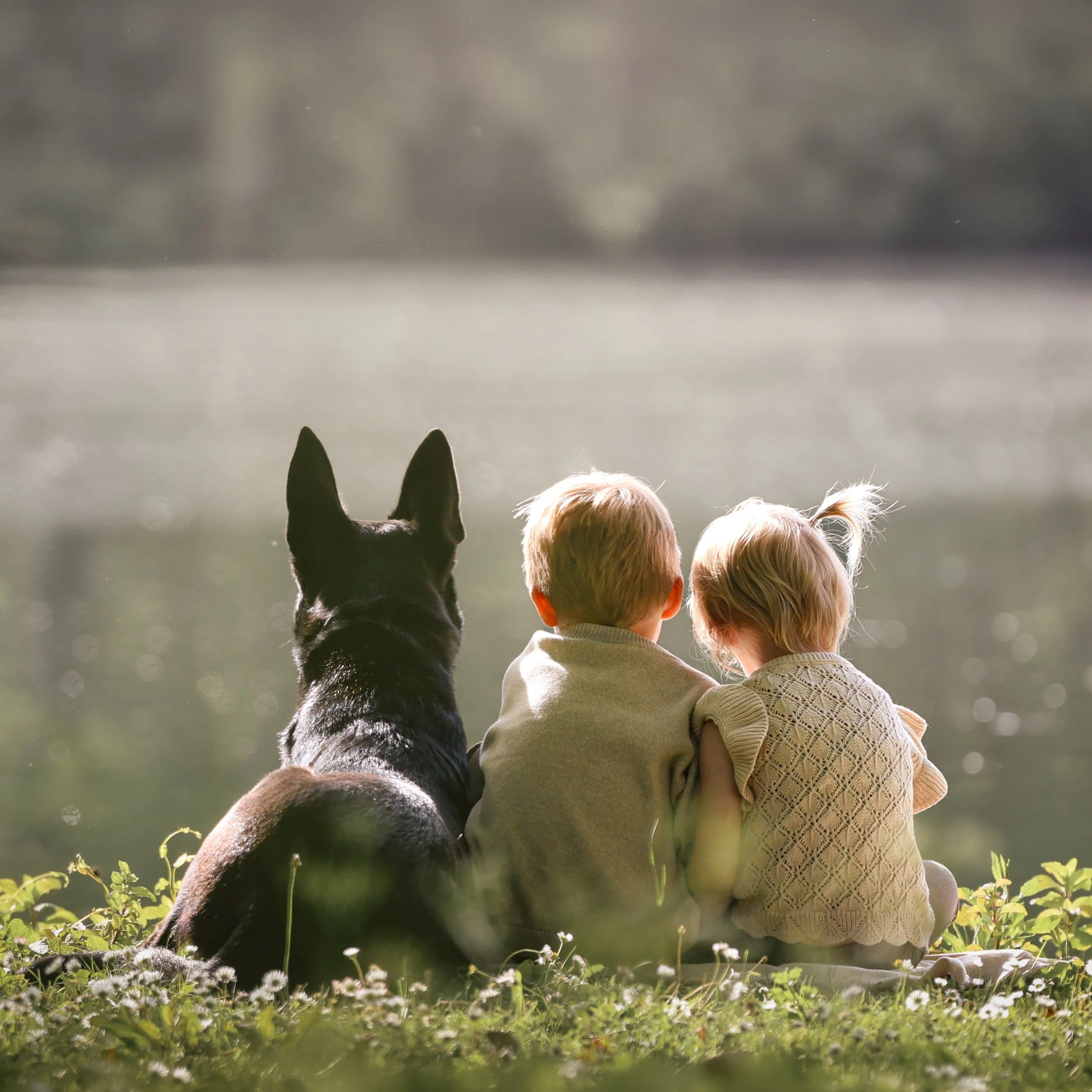 kinderfotografie-kinderen-met-hond-aan-oever.jpg