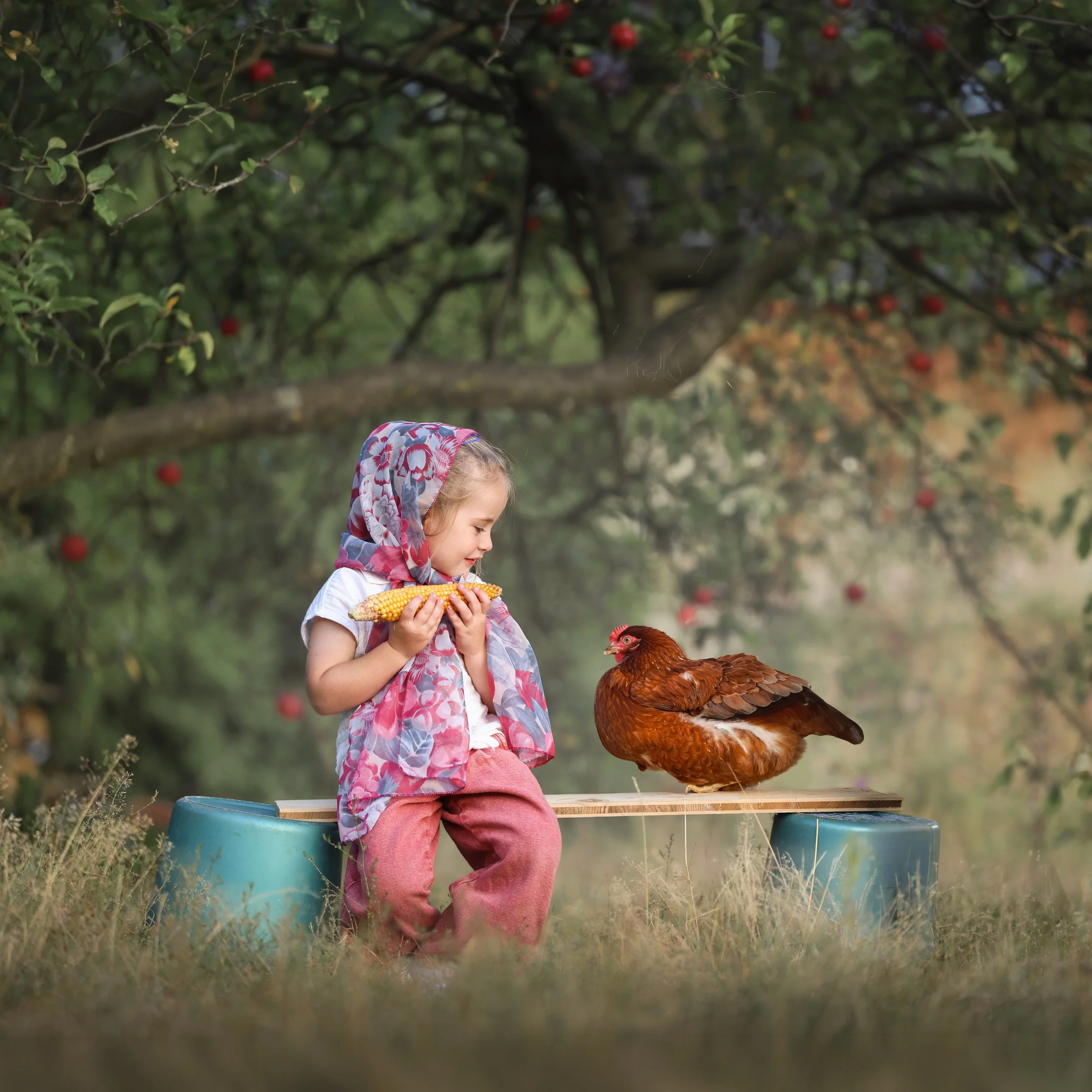 kinderfotografie-kind-deelt-maiskolf-met-kip-sprookjesachtig.jpg