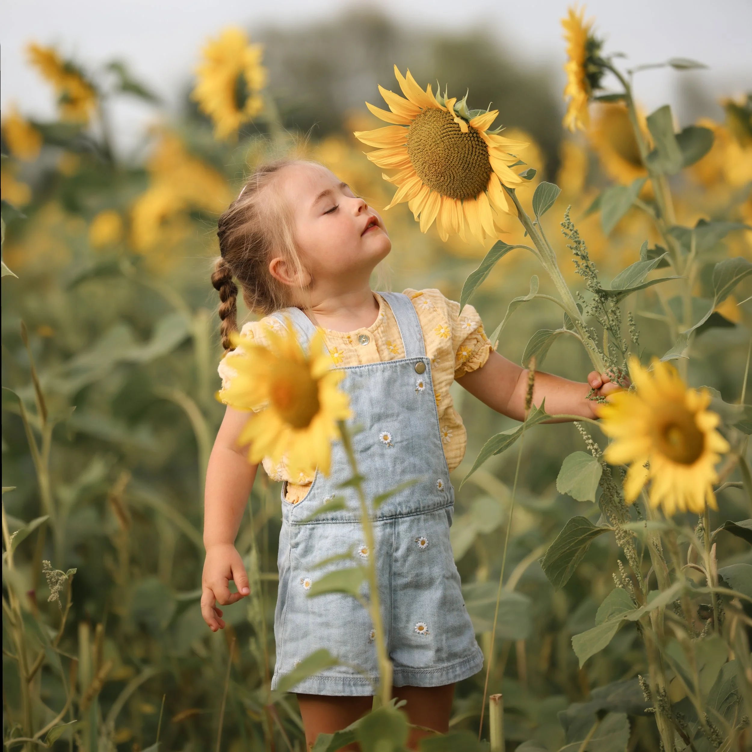 sprookjesachtige-kinderfotografie-zonnebloemen.jpg
