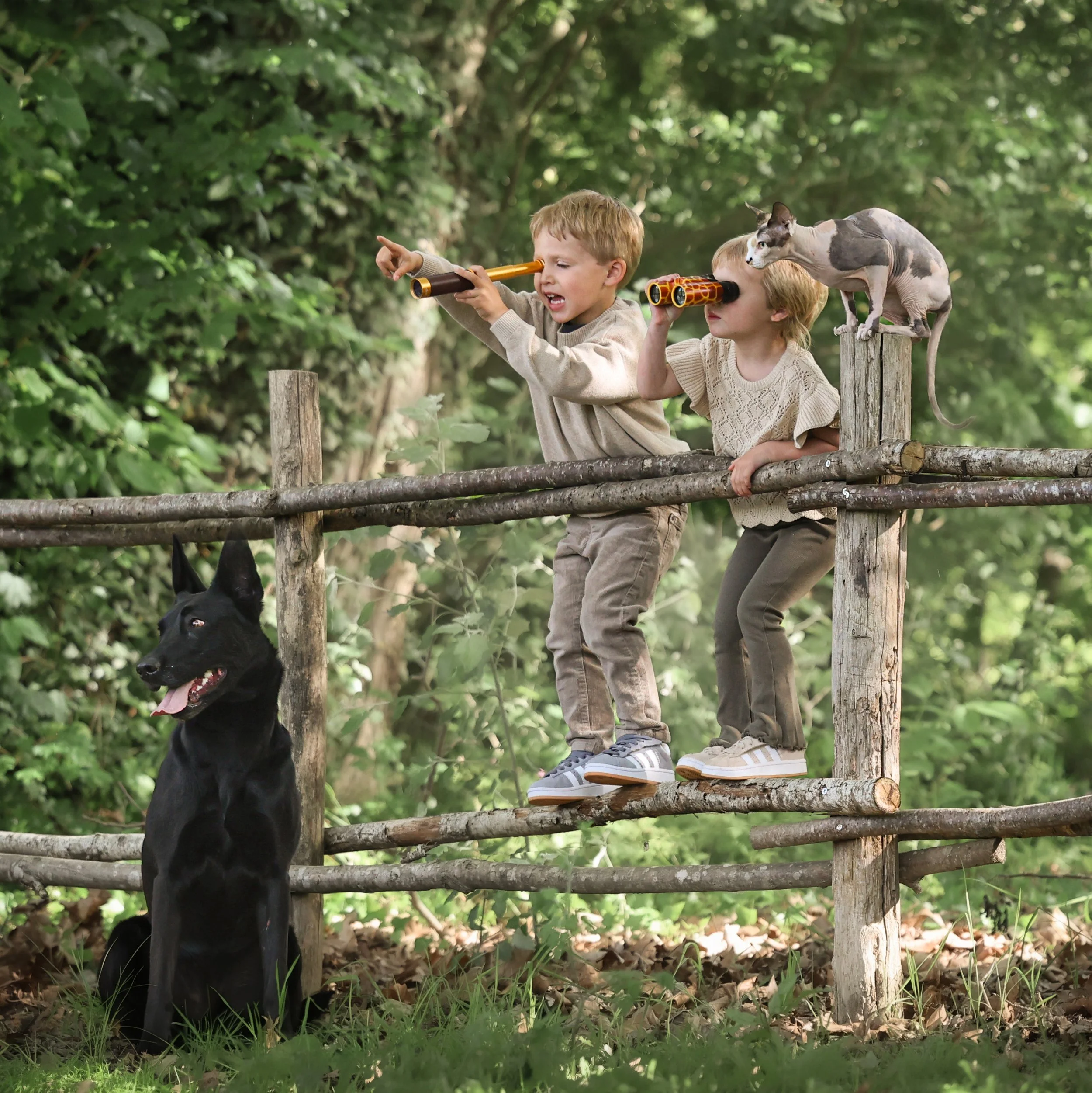 kinderfotografie-avonturenfoto-kinderen-met-hond-en-naaktkat.jpg