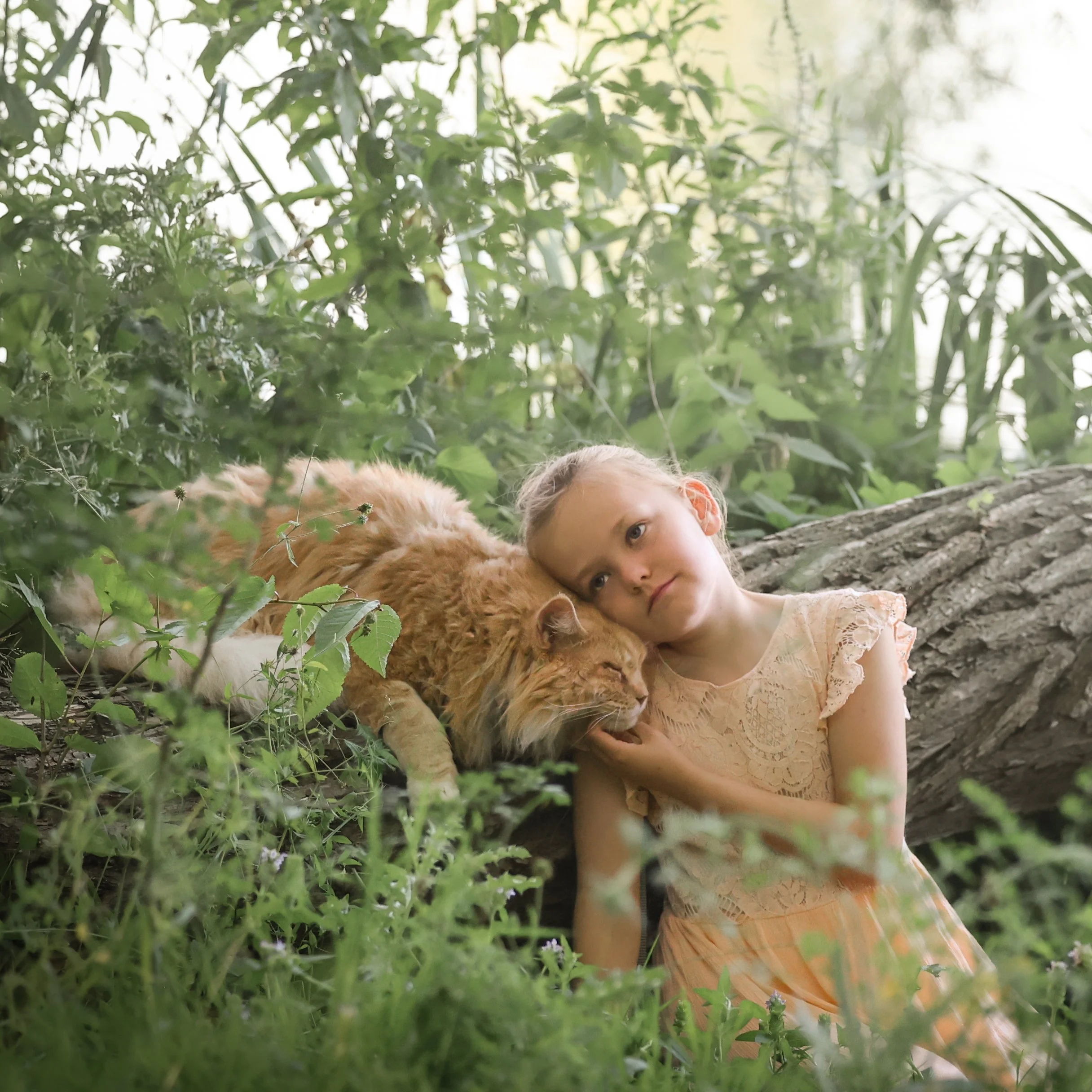 kinderfotografie-knuffelen-met-mainecoon.jpg