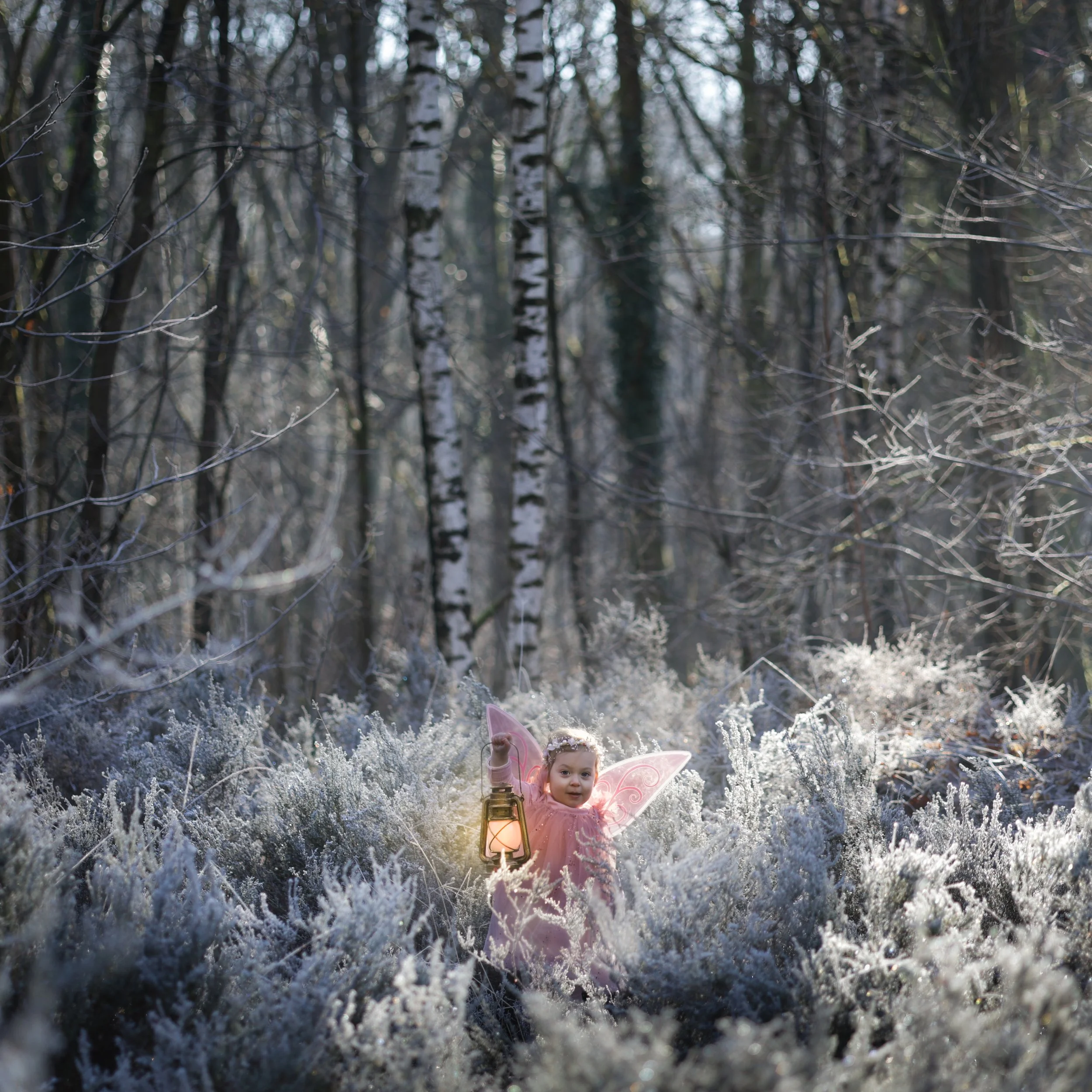 IMG_5493-250202druk-druk preset-2.jpg