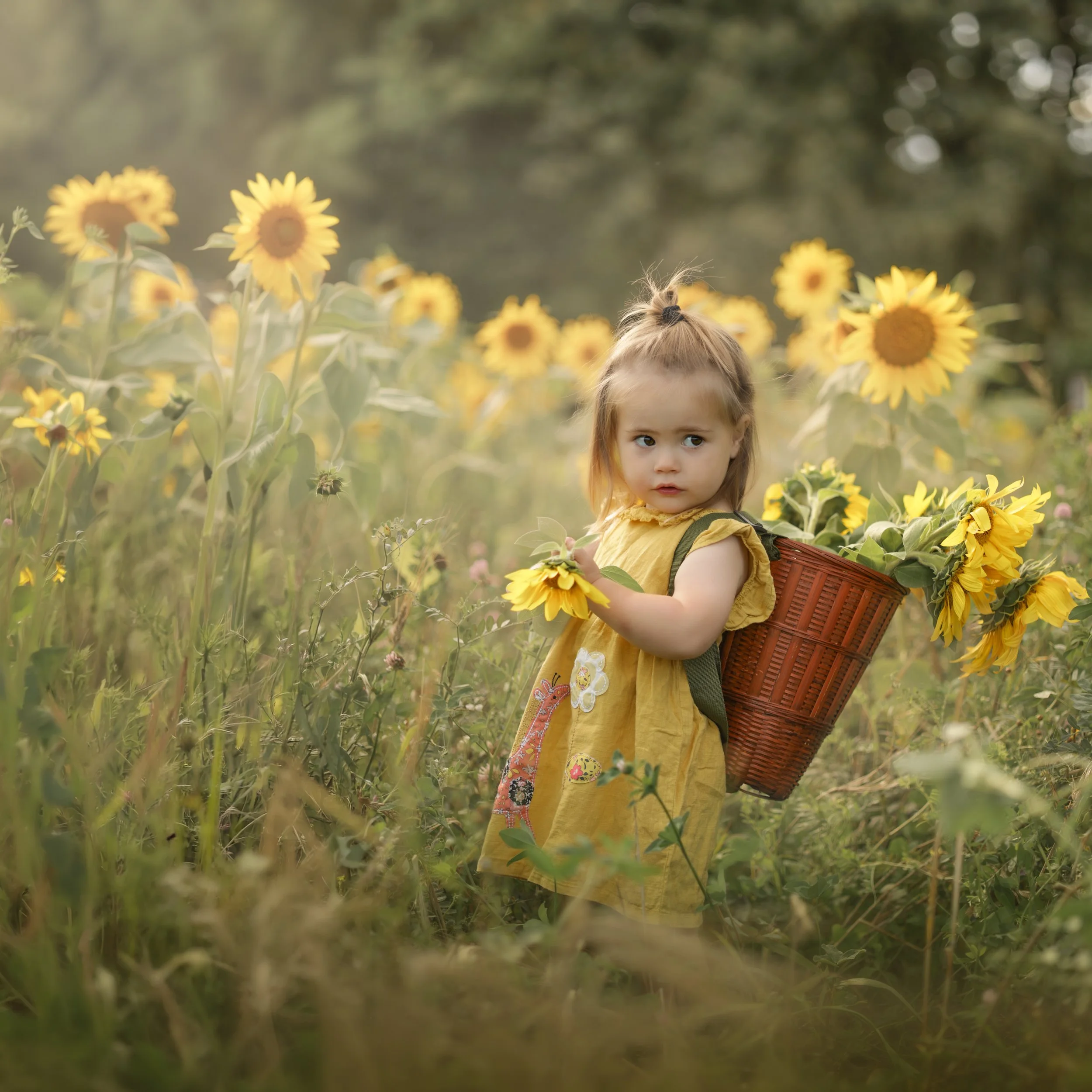 kinderfotografie-veld-met-zonnebloemen.jpg