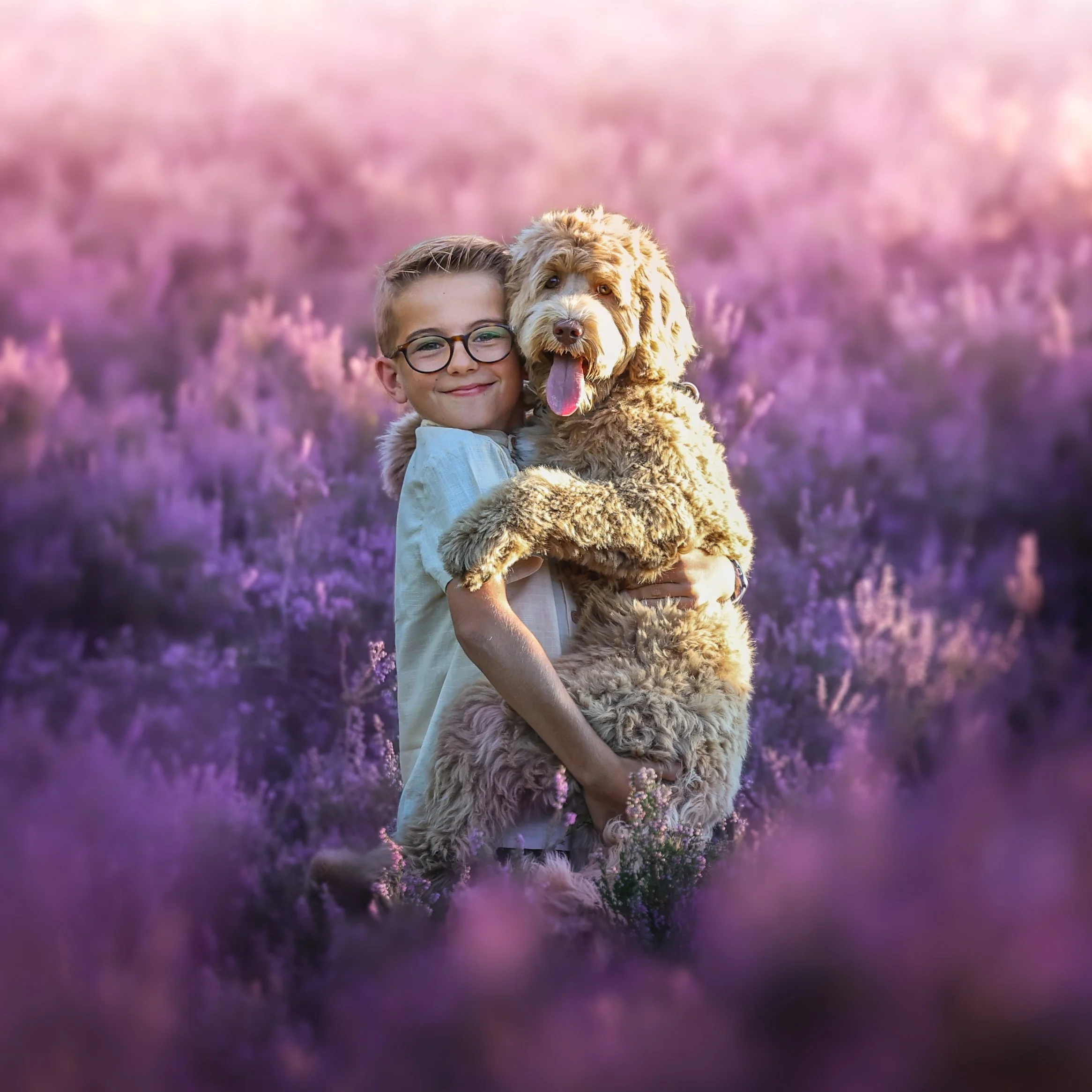 kinderfotografie-kind-knuffelt-hond-in-heide-sprookjesachtig.jpg