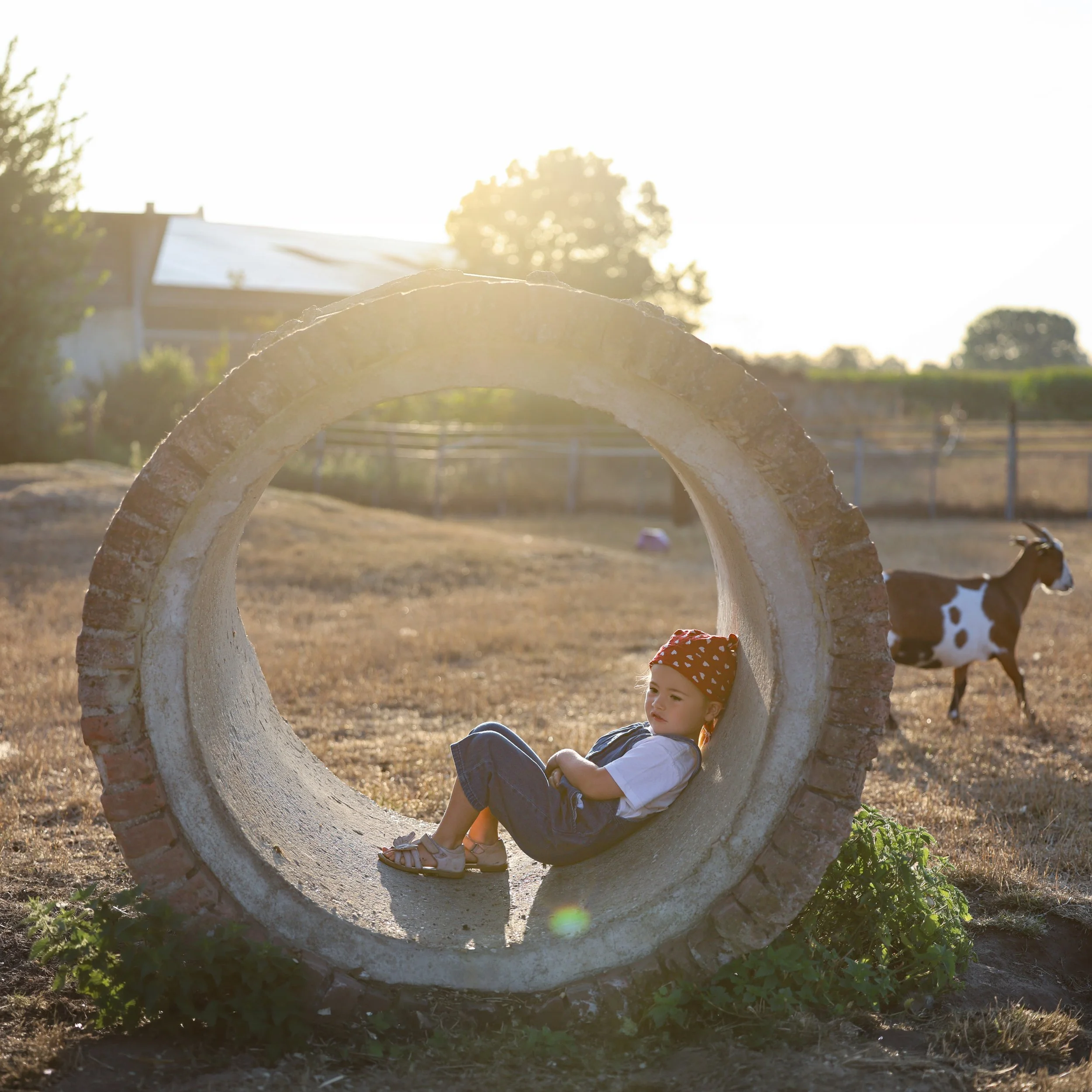 kinderfotografie-met-geiten-zonsopgang.jpg