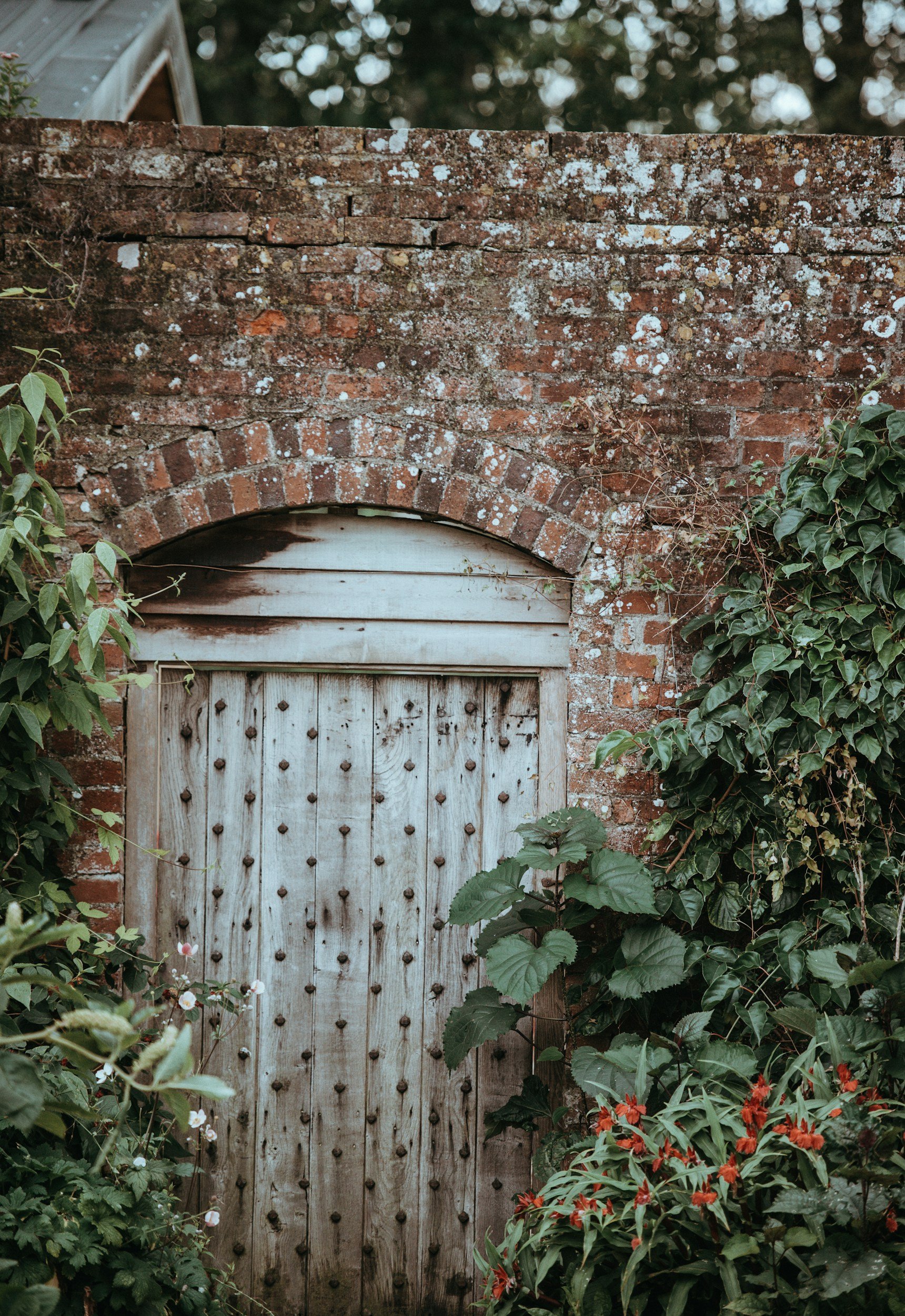 The Hidden Opportunities in Today's Sustainability Recruitment Market 