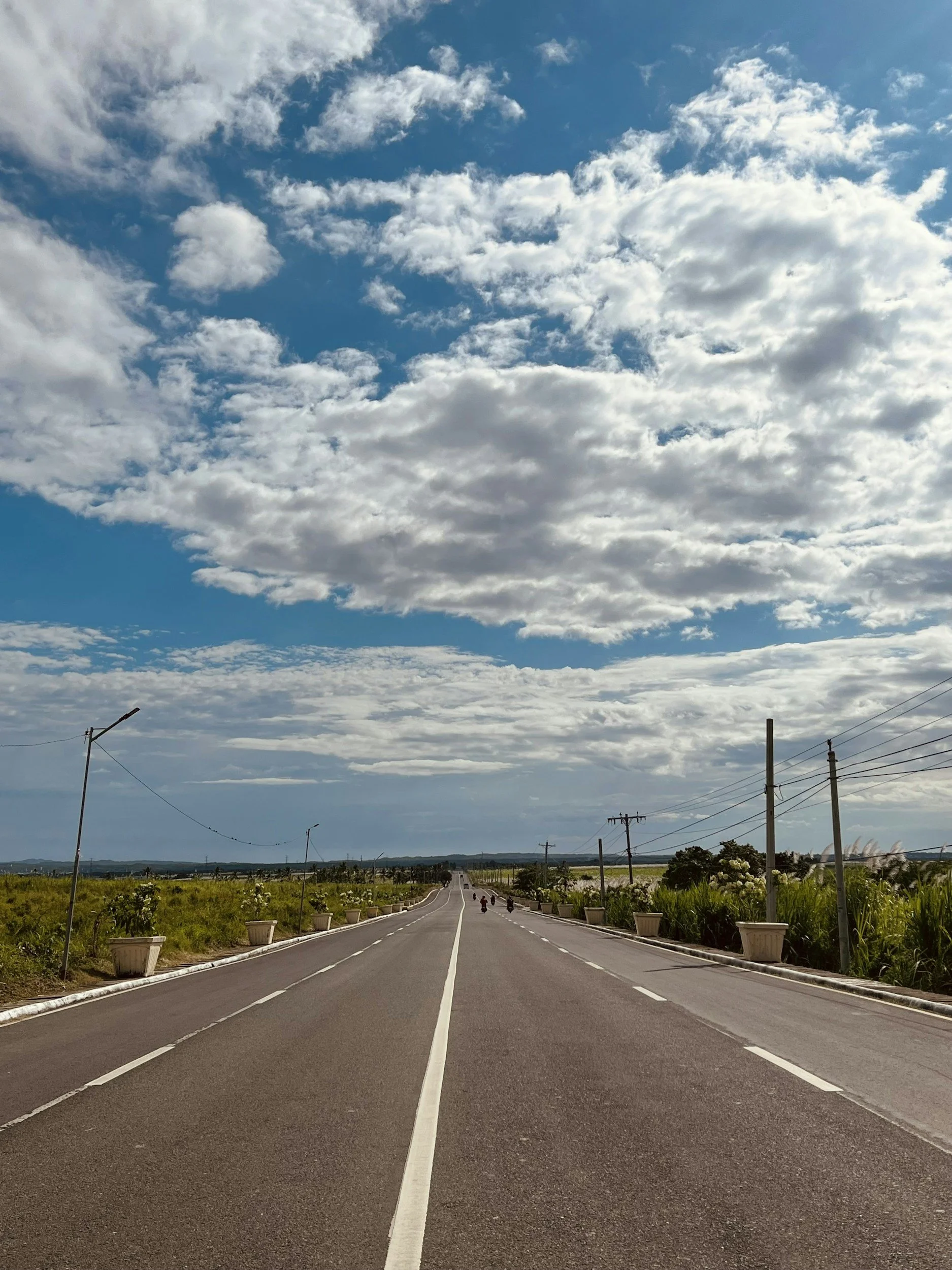 Why Smart UK Organisations Are Accelerating Sustainability Hiring During Economic Uncertainty 