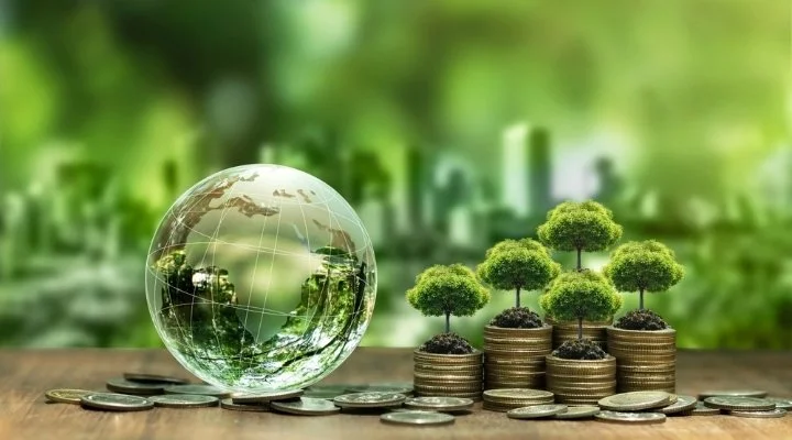 Glass globe and small trees on coin stacks