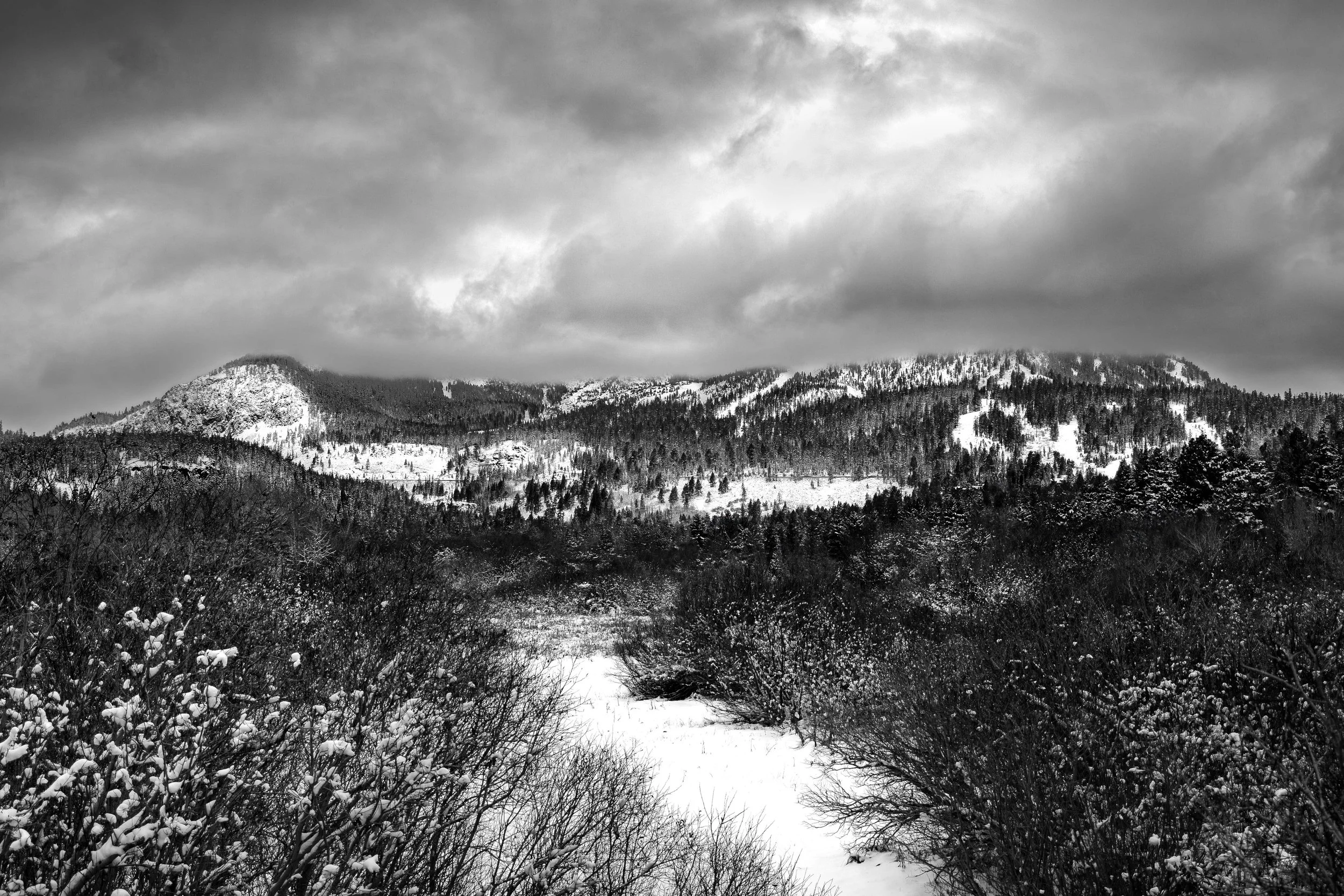 B&W Mmmth Mtn Fog (Website).jpg