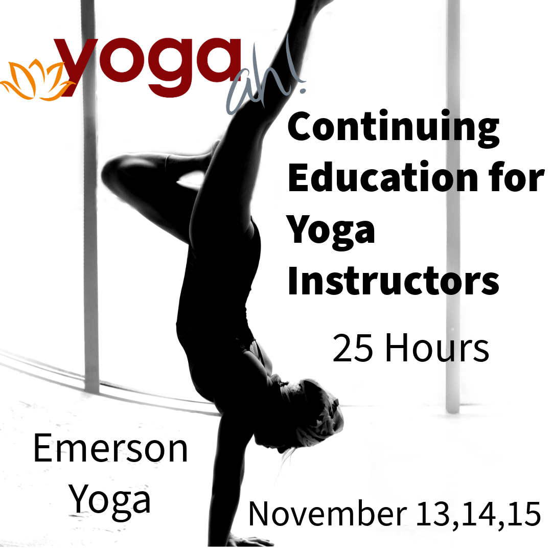 Continuing Education in Yoga Modern Vinyasa and Traditional