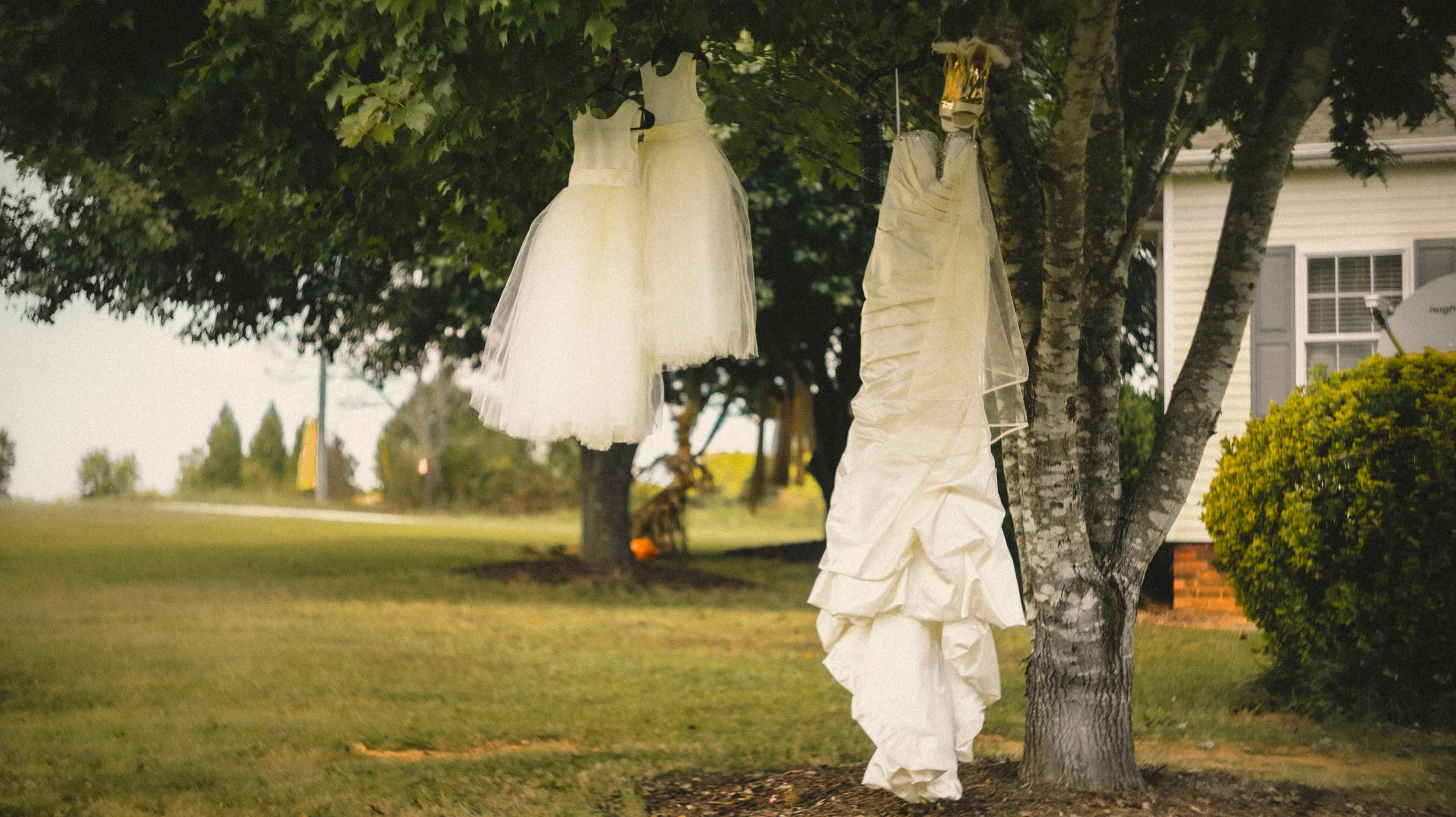 Wedding dresses hanging from a tree outside.