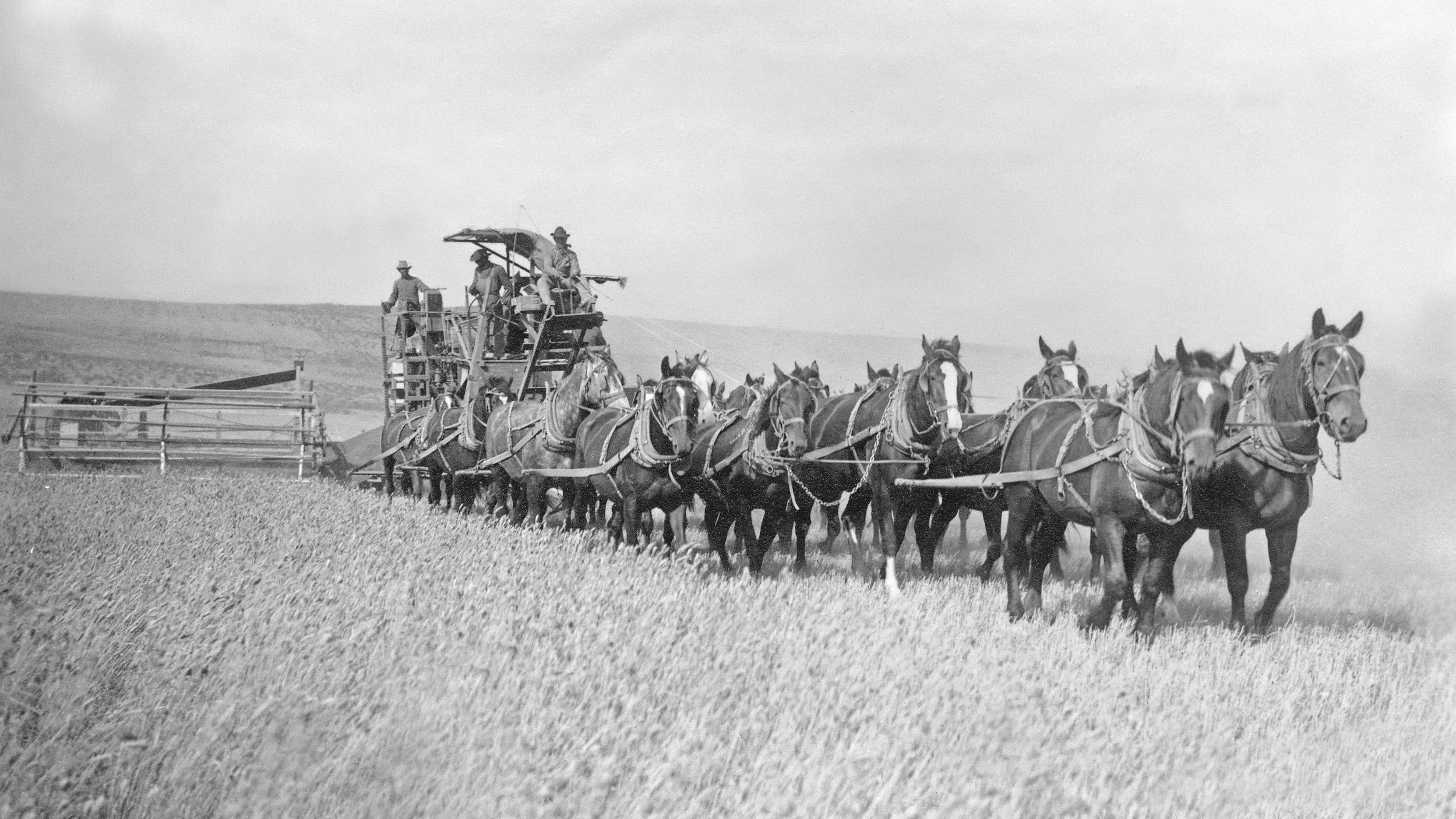 Your Succession Plan Team (who’s on it)