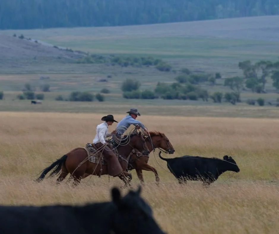 Succession isn&rsquo;t just a plan, it&rsquo;s a conversation!

Land. Legacy. Livelihood.

The toughest part of ranch succession planning? It&rsquo;s not taxes or lawyers &mdash; it&rsquo;s family dynamics.

🏡 Who&rsquo;s staying?
📝 Who&rsquo;s lea