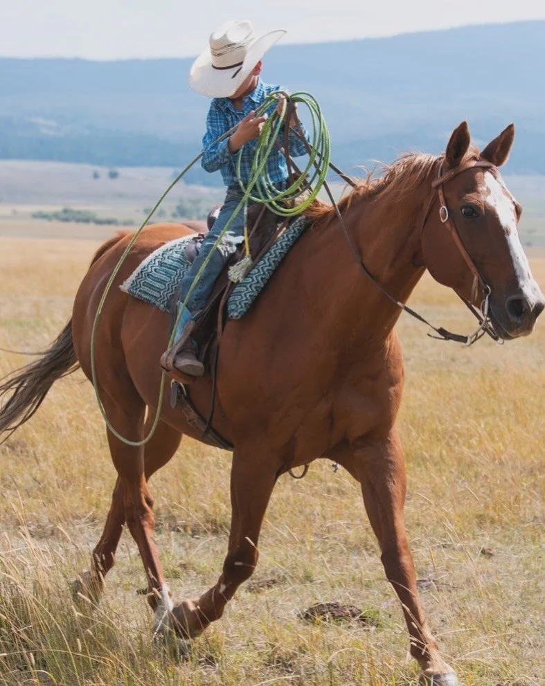 Let&rsquo;s be blunt&mdash;waiting to plan for the future of your ranch could cost your family the whole darn thing! 

Too many operations wait until someone gets sick, dies, or wants out. By then, tax options are limited, decision-making is emotiona