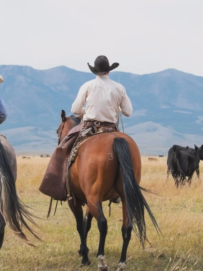 Trusts aren&rsquo;t just for wealthy people, they&rsquo;re great tools for ag operations! 

A well designed trust can protect the ranch&rsquo;s assets from creditors, ensure wishes are carried out after your gone, and help reduce estate taxes + avoid