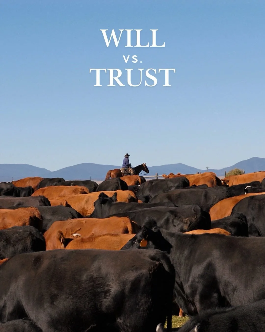 I get this question a lot&hellip; trust vs. will, which one? 

A will is a plan for when you&rsquo;re gone.
A trust is a plan for while you&rsquo;re still here.
On a ranch, that distinction matters.

But here&rsquo;s the hard truth, nether a trust no