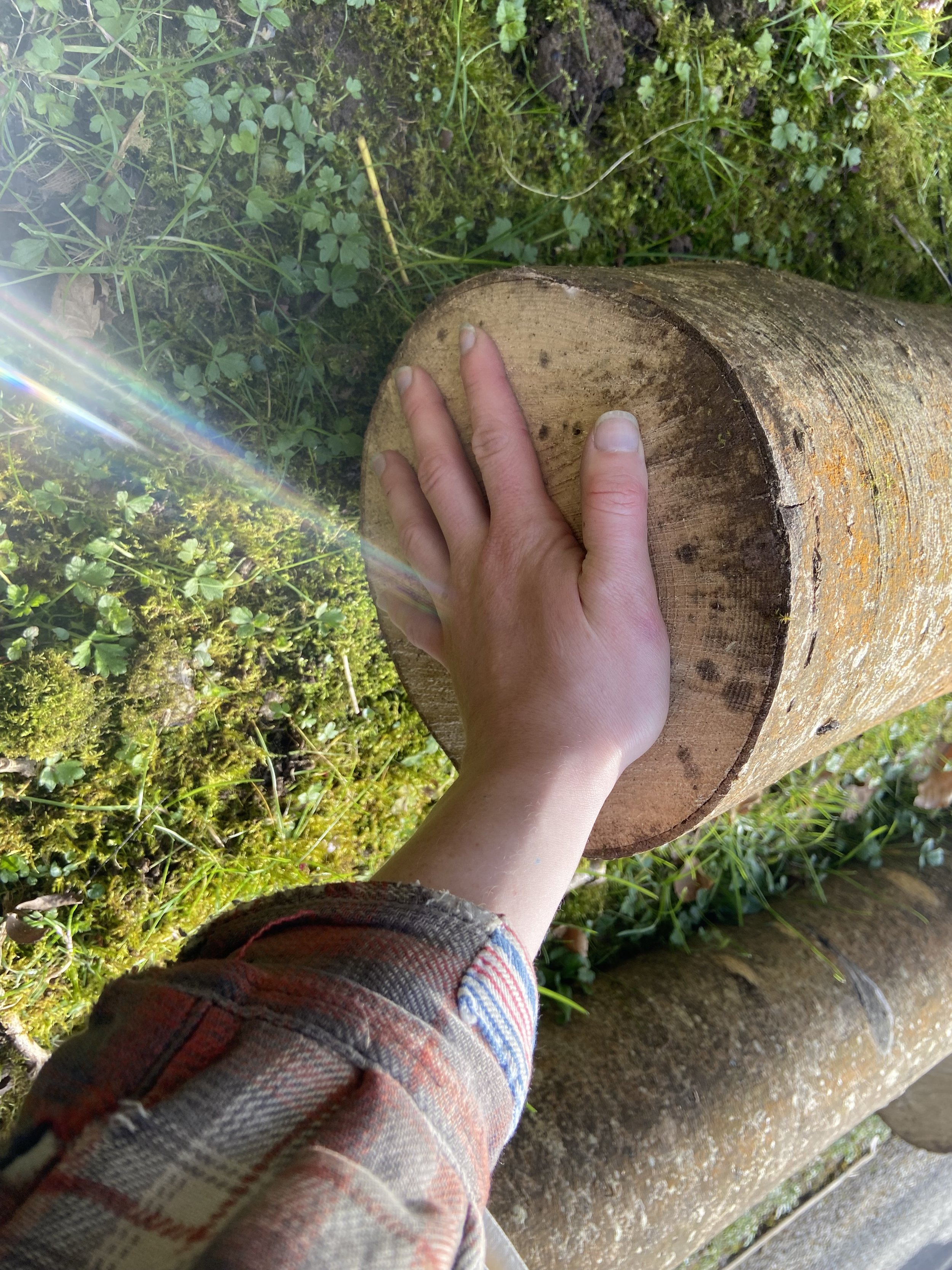 hand on wood.jpg
