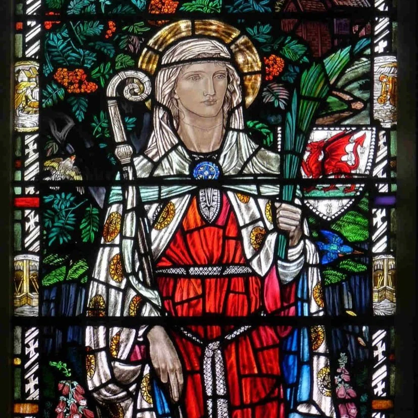 St. wini window shrews.jpg