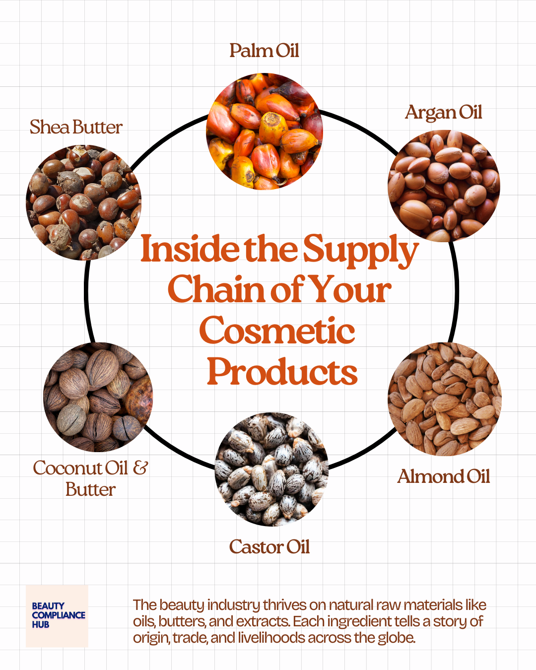 From Soil to Skincare: The Global Journey of Cosmetic Raw Materials