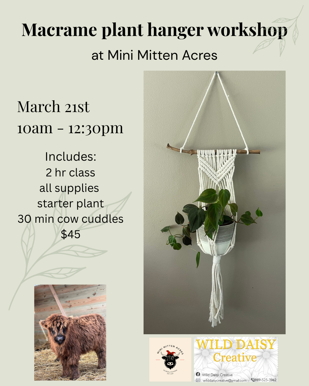 Macrame plant hanger class