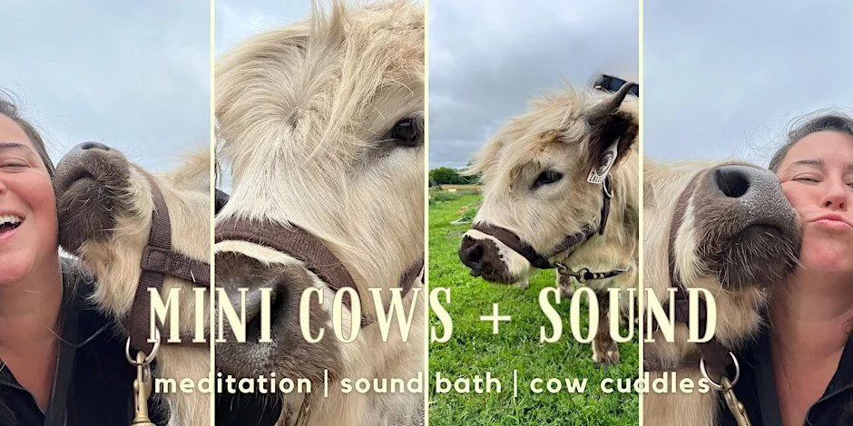 Soundbath & Cow cuddles
