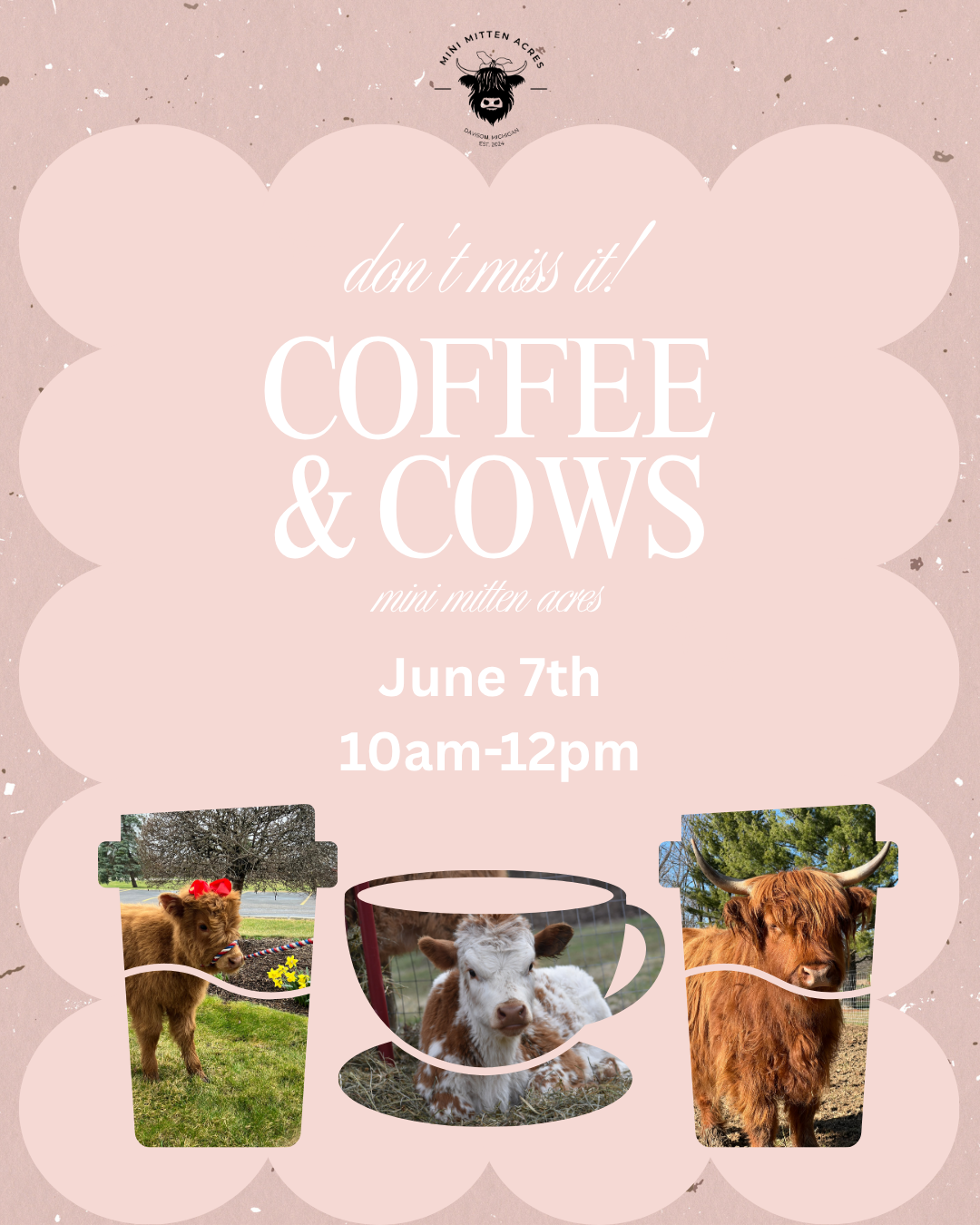 Coffee & Cows